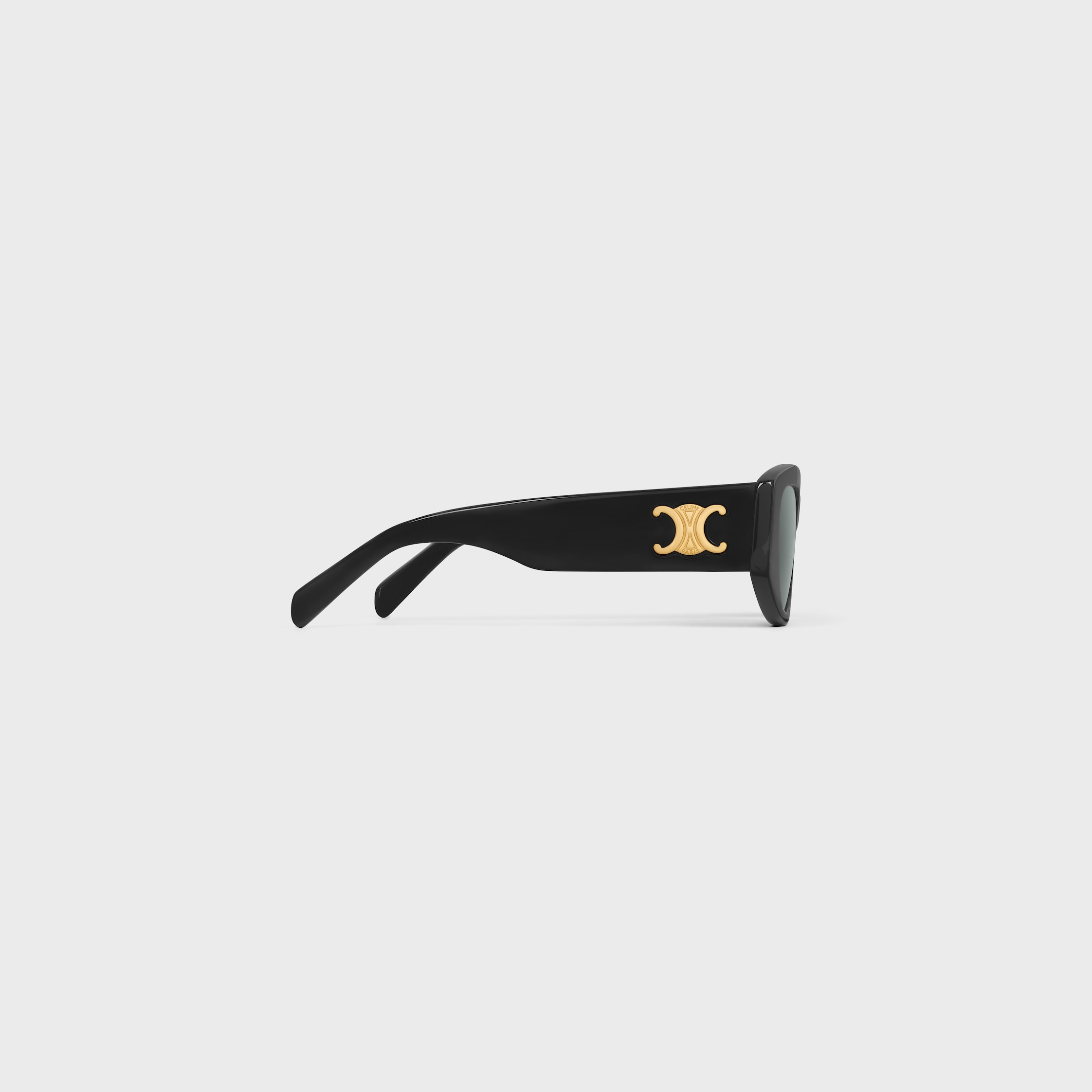 Triomphe 15 Sunglasses in Acetate - 4
