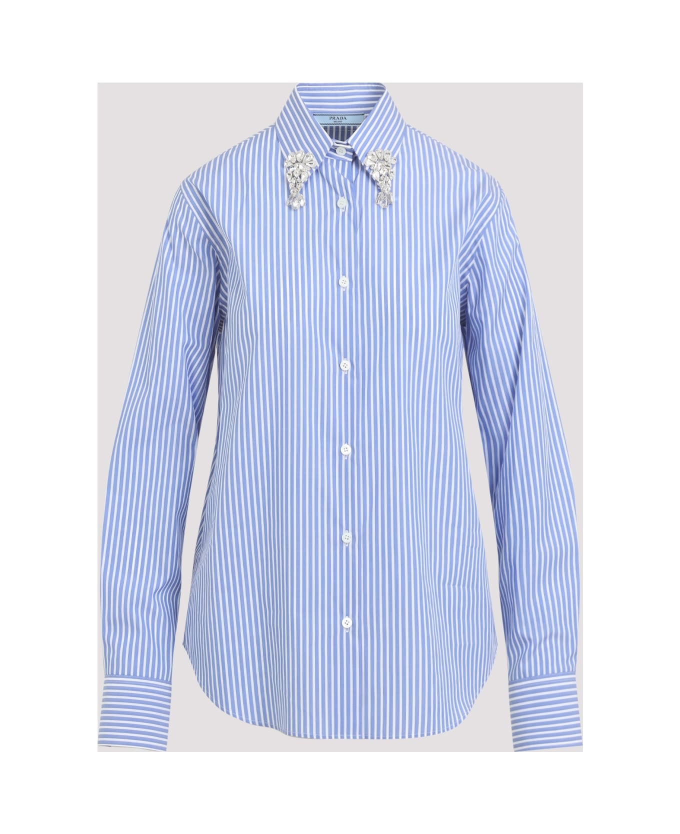 Shirt - 3
