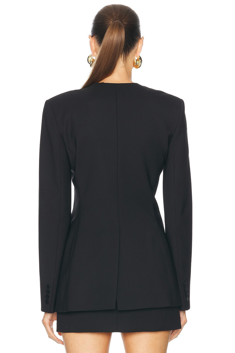 Anita Blazer 3