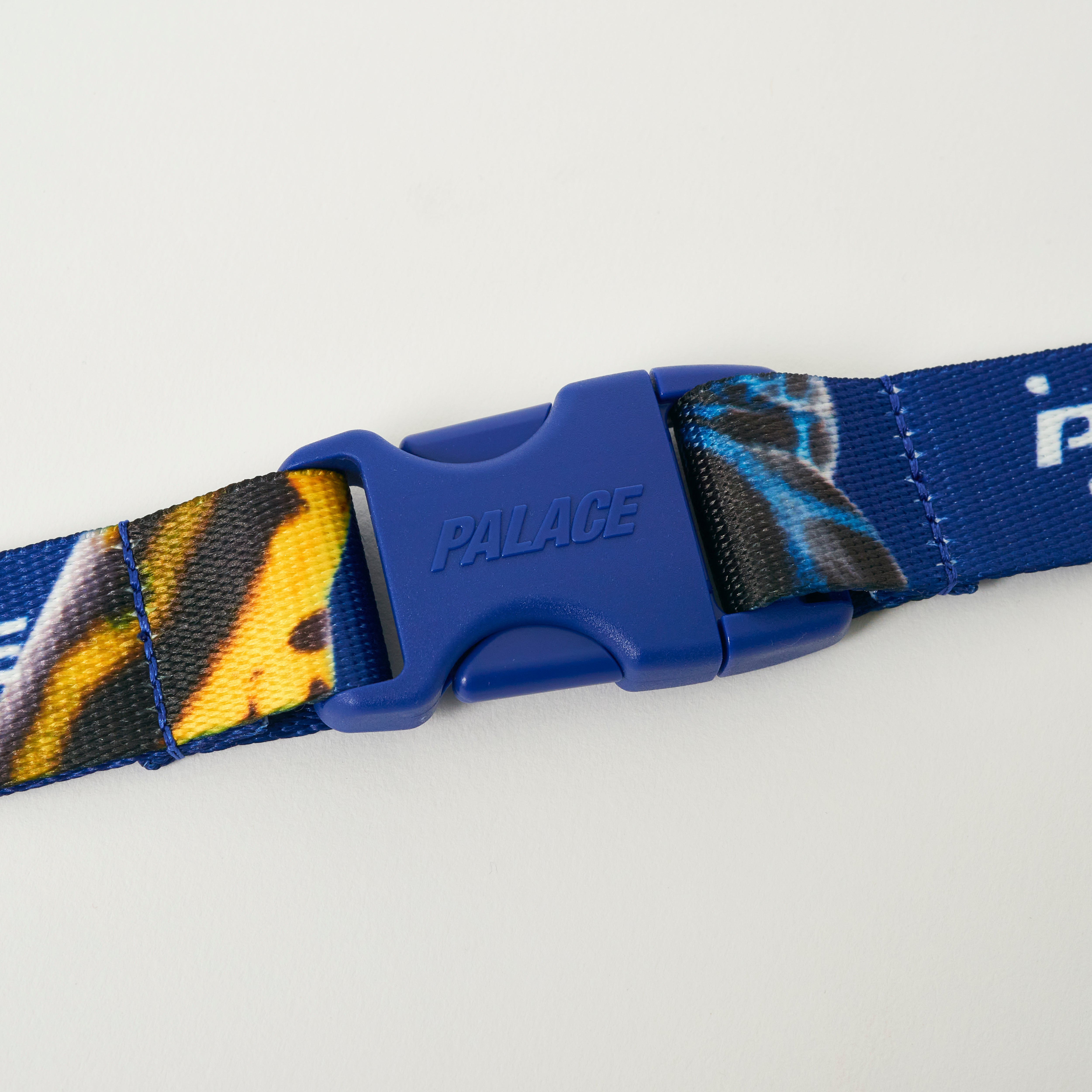 FROGGER LANYARD BLUE / MULTI - 3