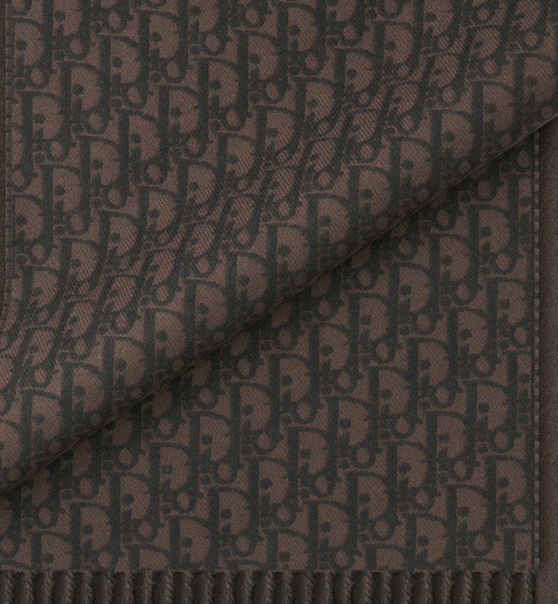Dior Oblique Double-Sided Scarf 5