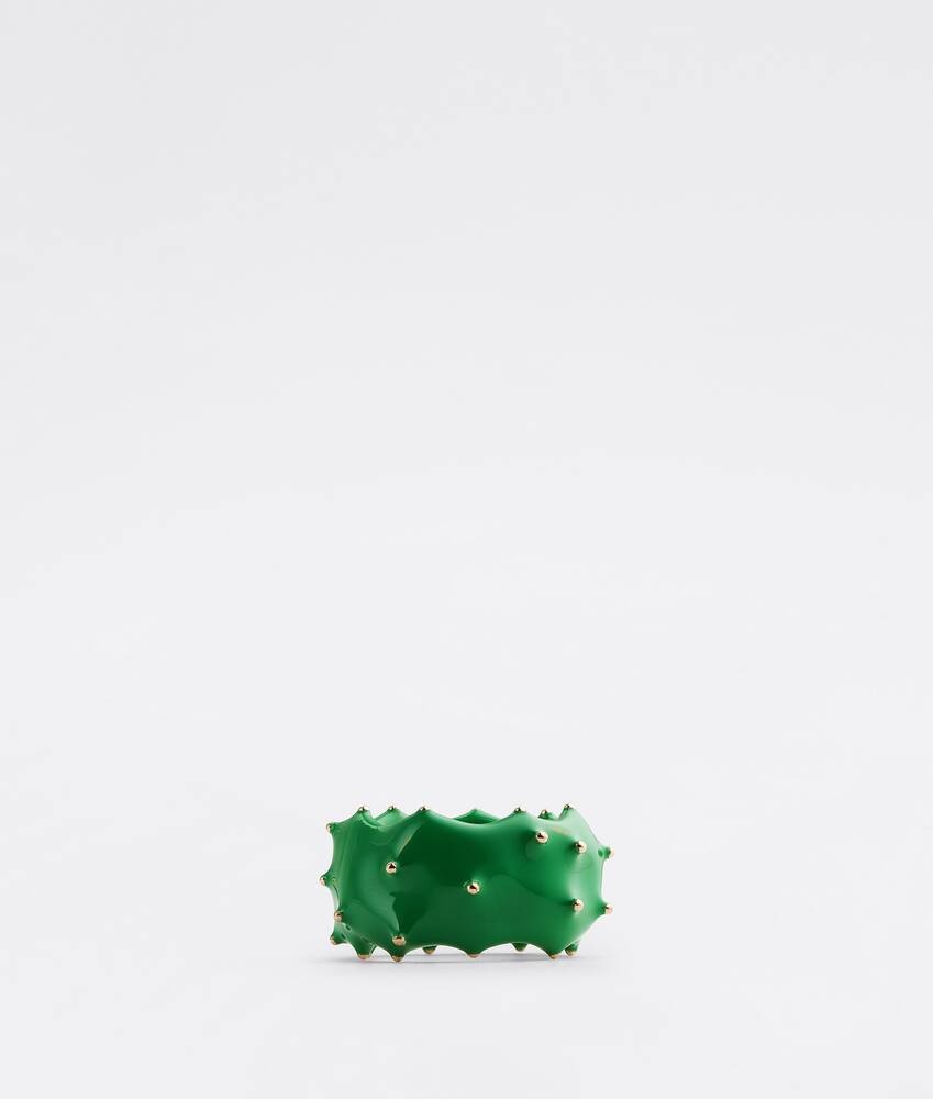 cacti - 2