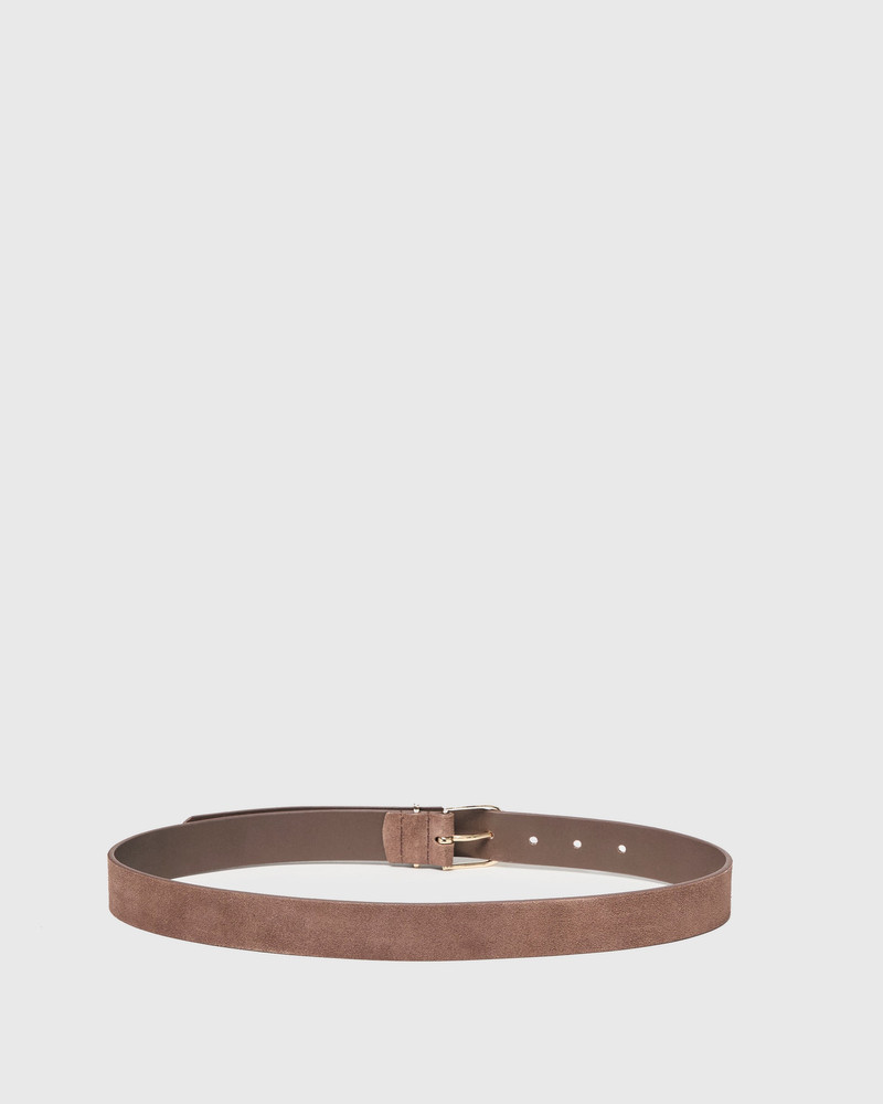 PAIGE Elia Belt outlook