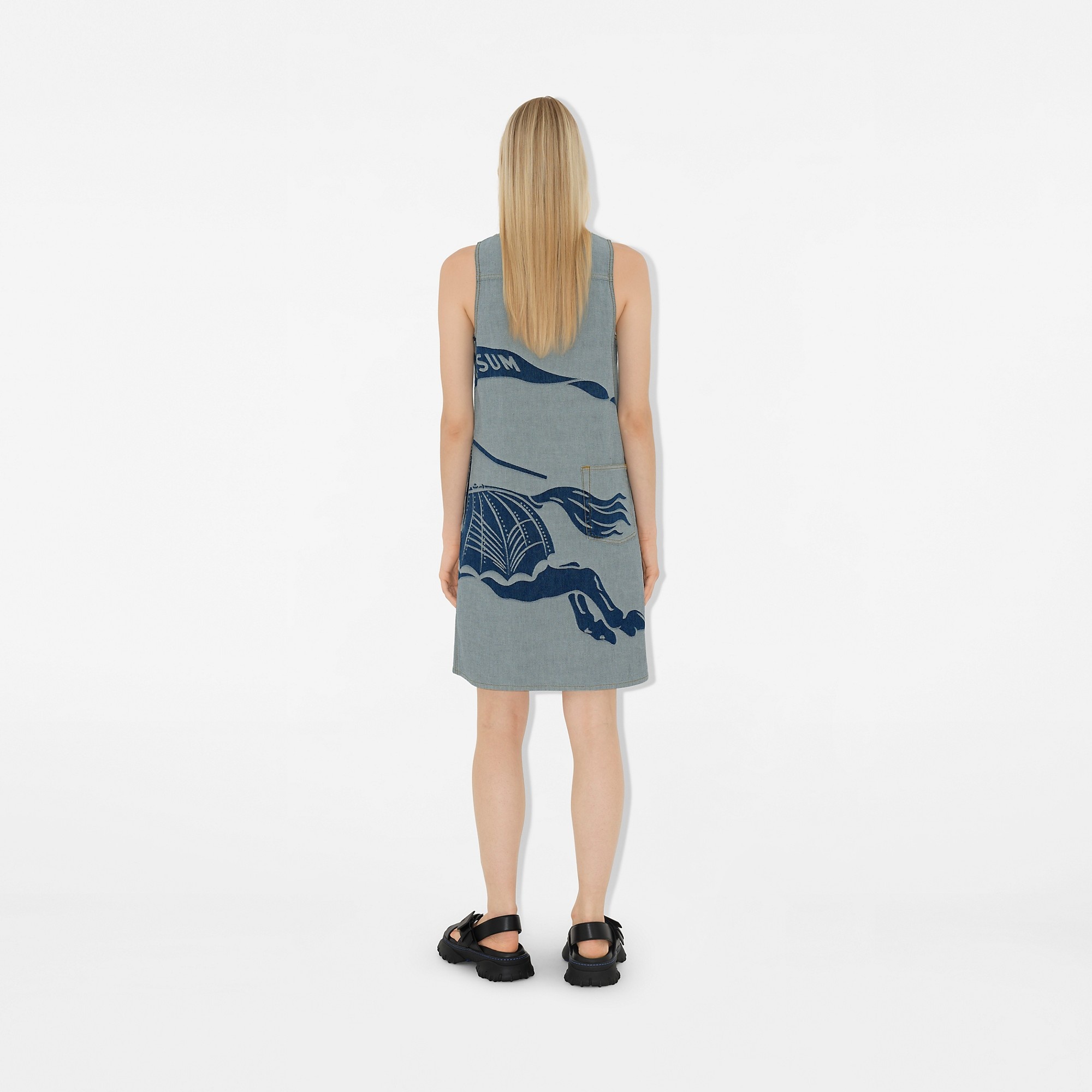 EKD Denim Dress - 4