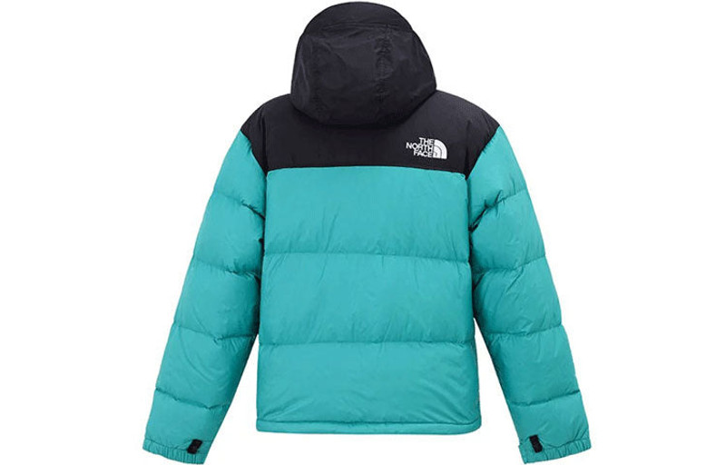 The North Face THE NORTH FACE 1996 Retro Nuptse Jacket NF0A3C8D-ZCV outlook