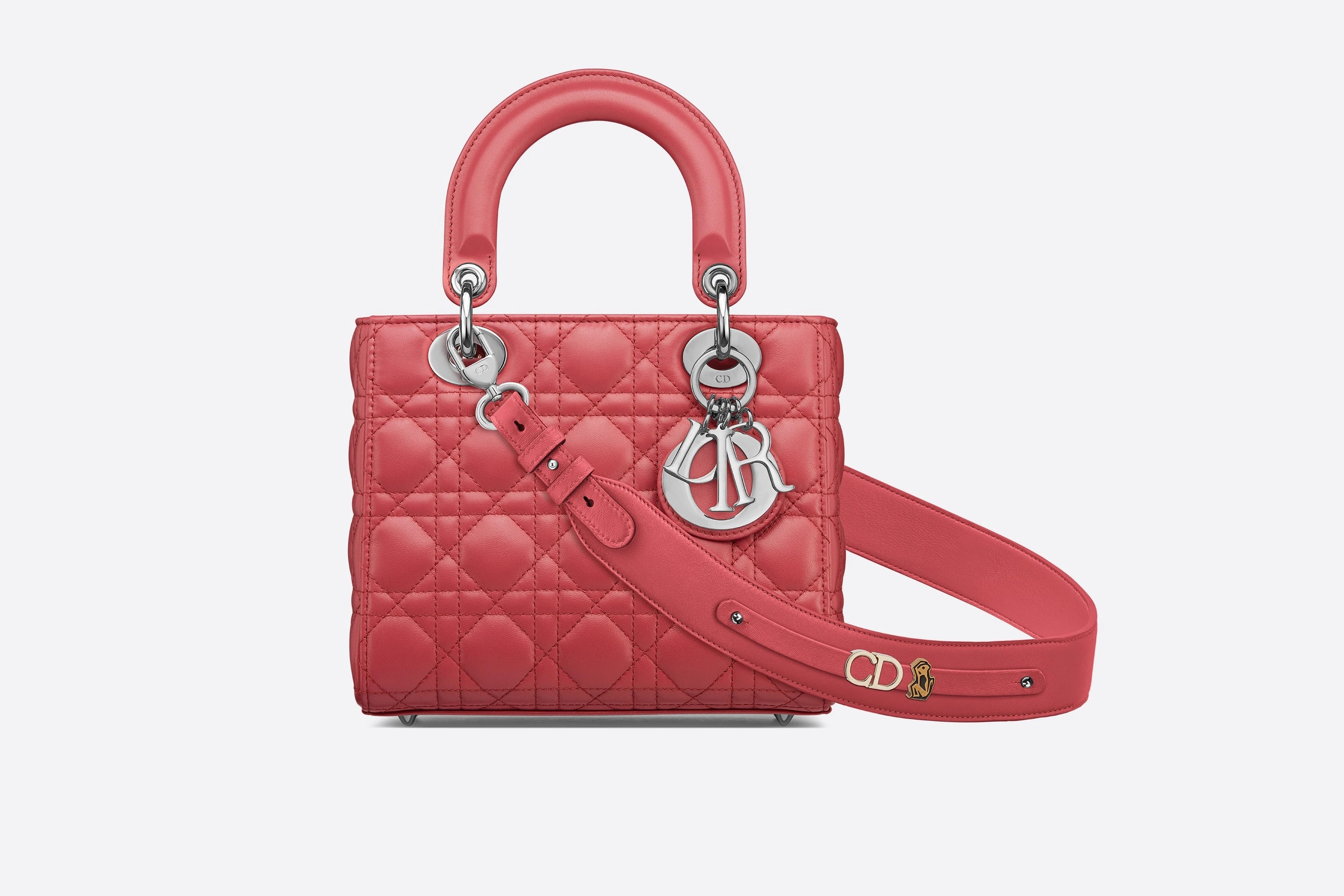 MyABCDior Lady Dior Bag - 1