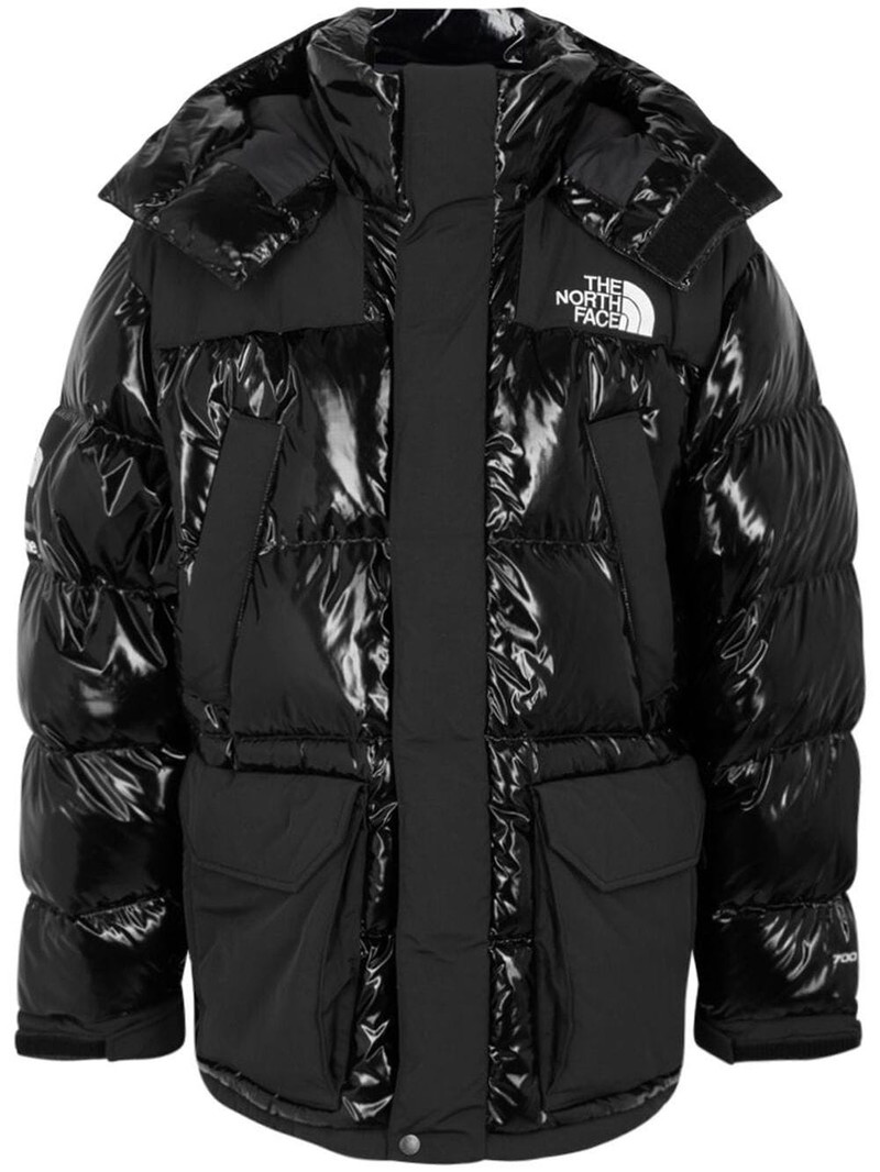 x TNF 700-fill down parka - 1