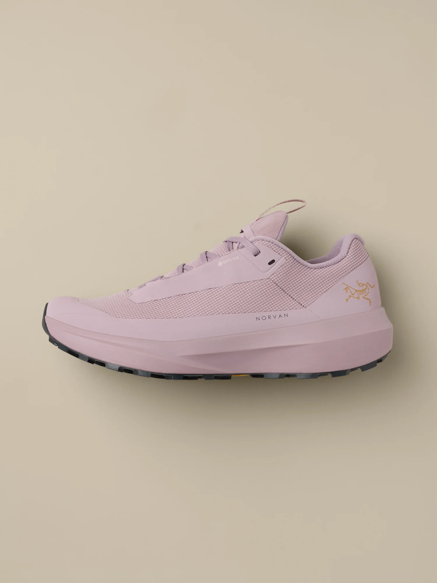 Norvan LD 4 GTX Shoe - 1
