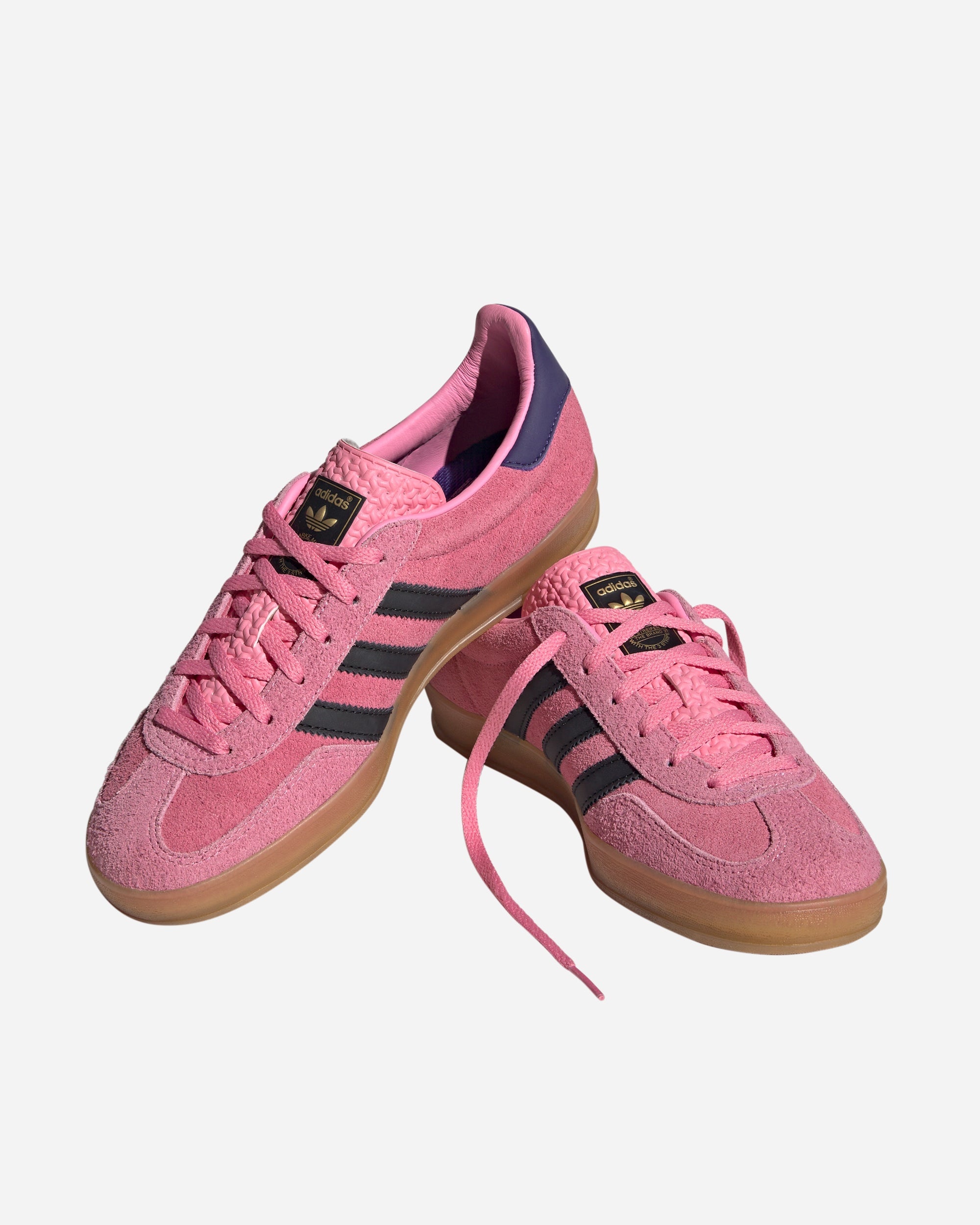 Gazelle Indoor - 2