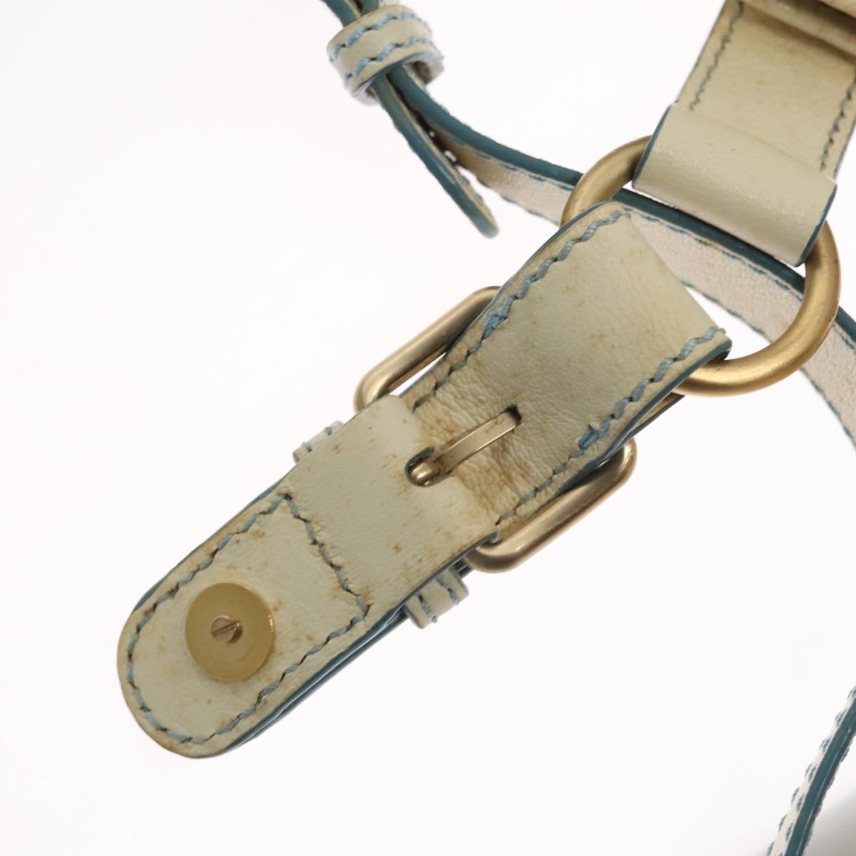 CELINE C Macadam Canvas Shoulder Bag Light Blue - 9