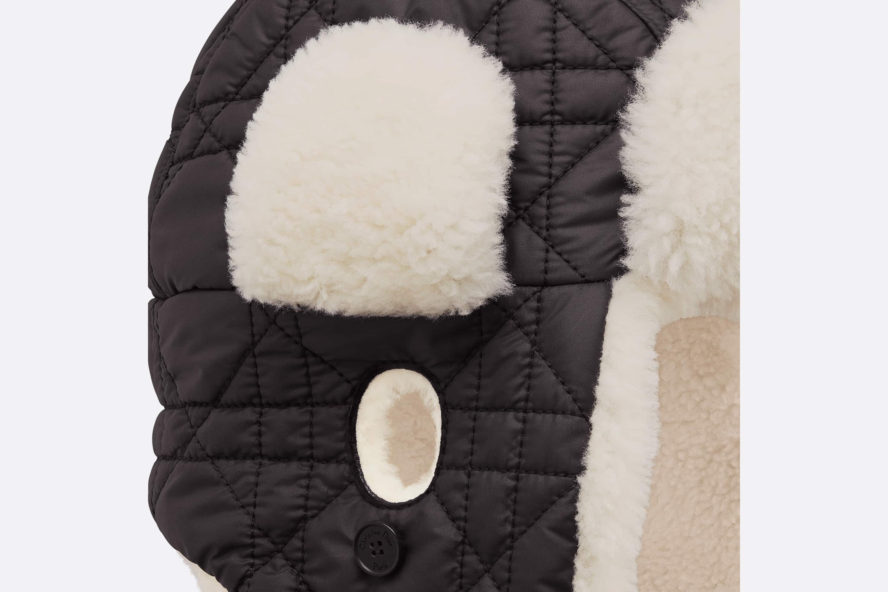 Dior Frost Shapka - 11