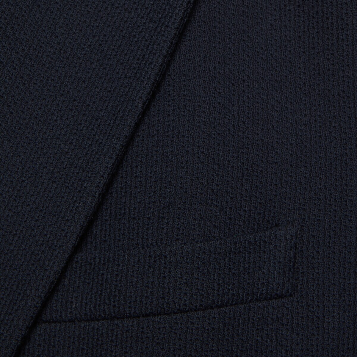 Cotton jersey jacket with Web - 7