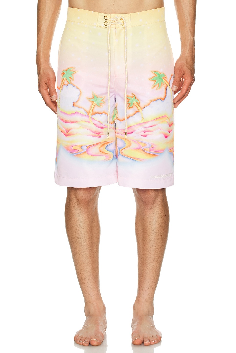 Printed Swim Boarder Shorts - 4