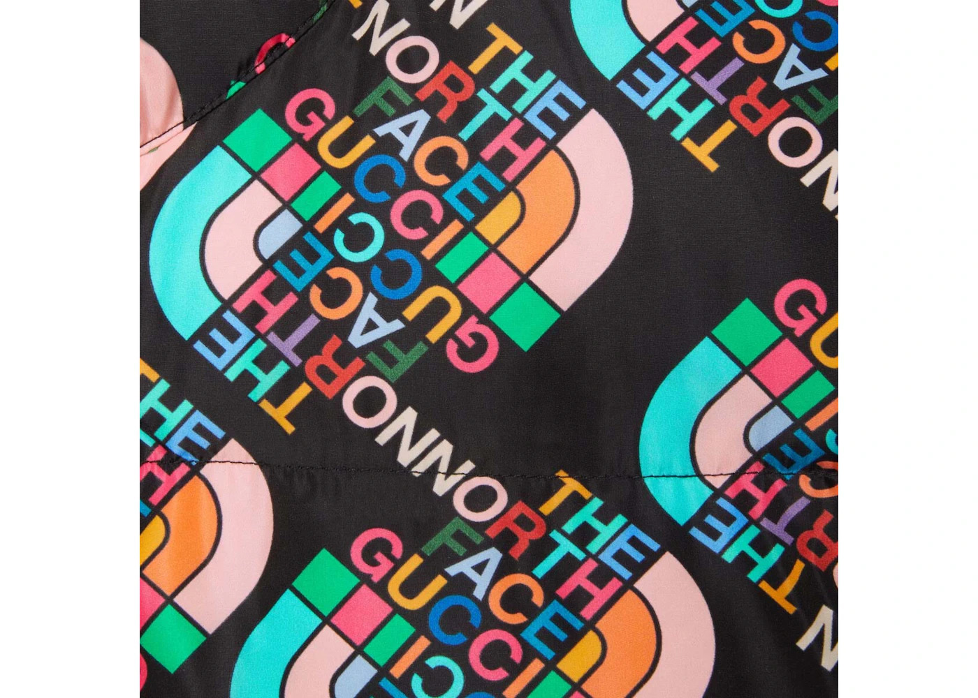 Gucci x The North Face Down Jacket Multicolor/Black - 2
