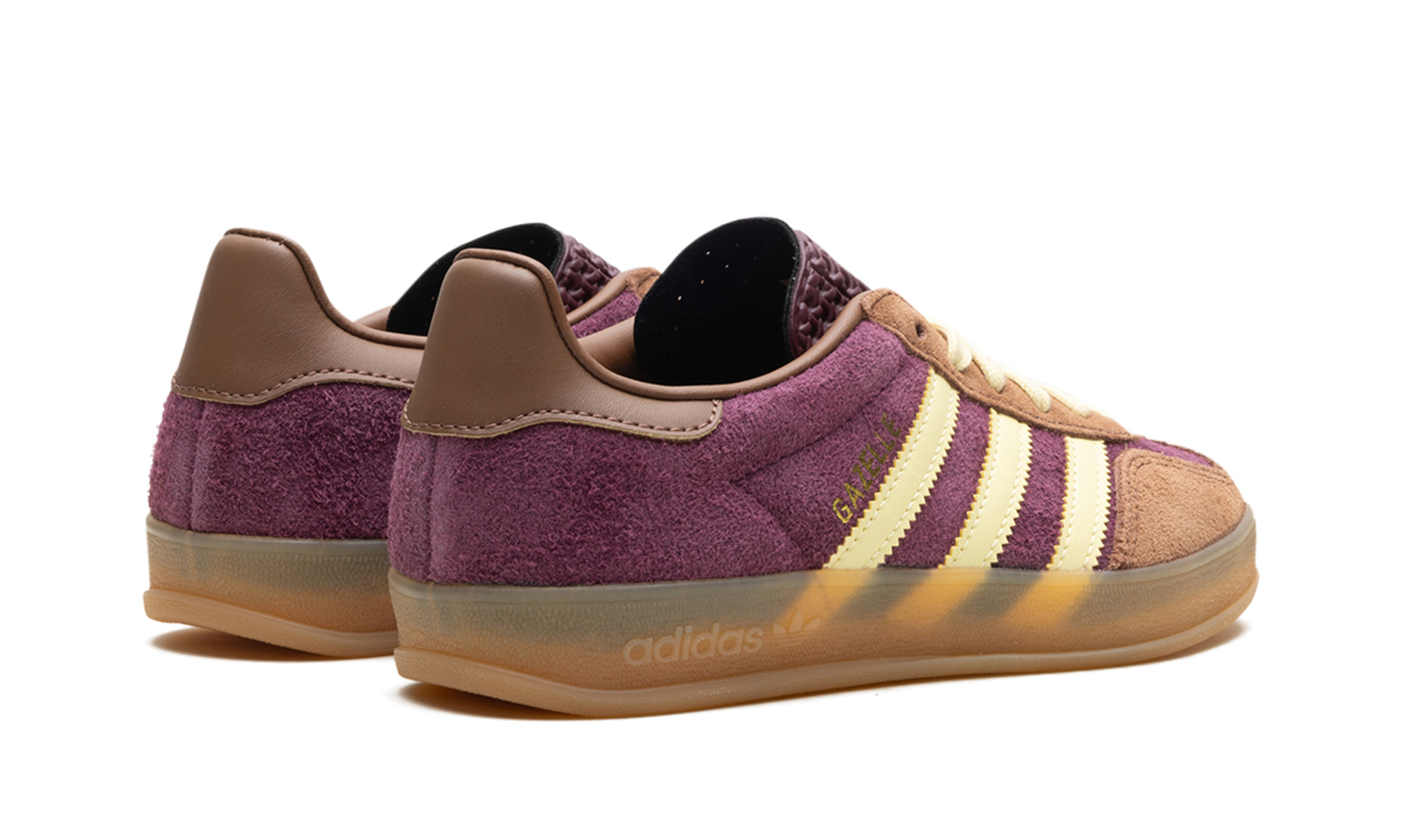 Gazelle Indoor - 3