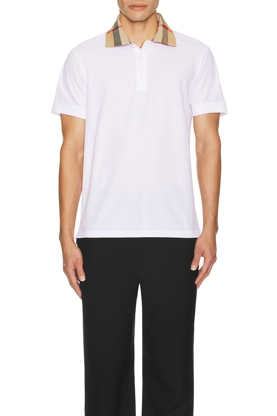 Cody Polo - 3