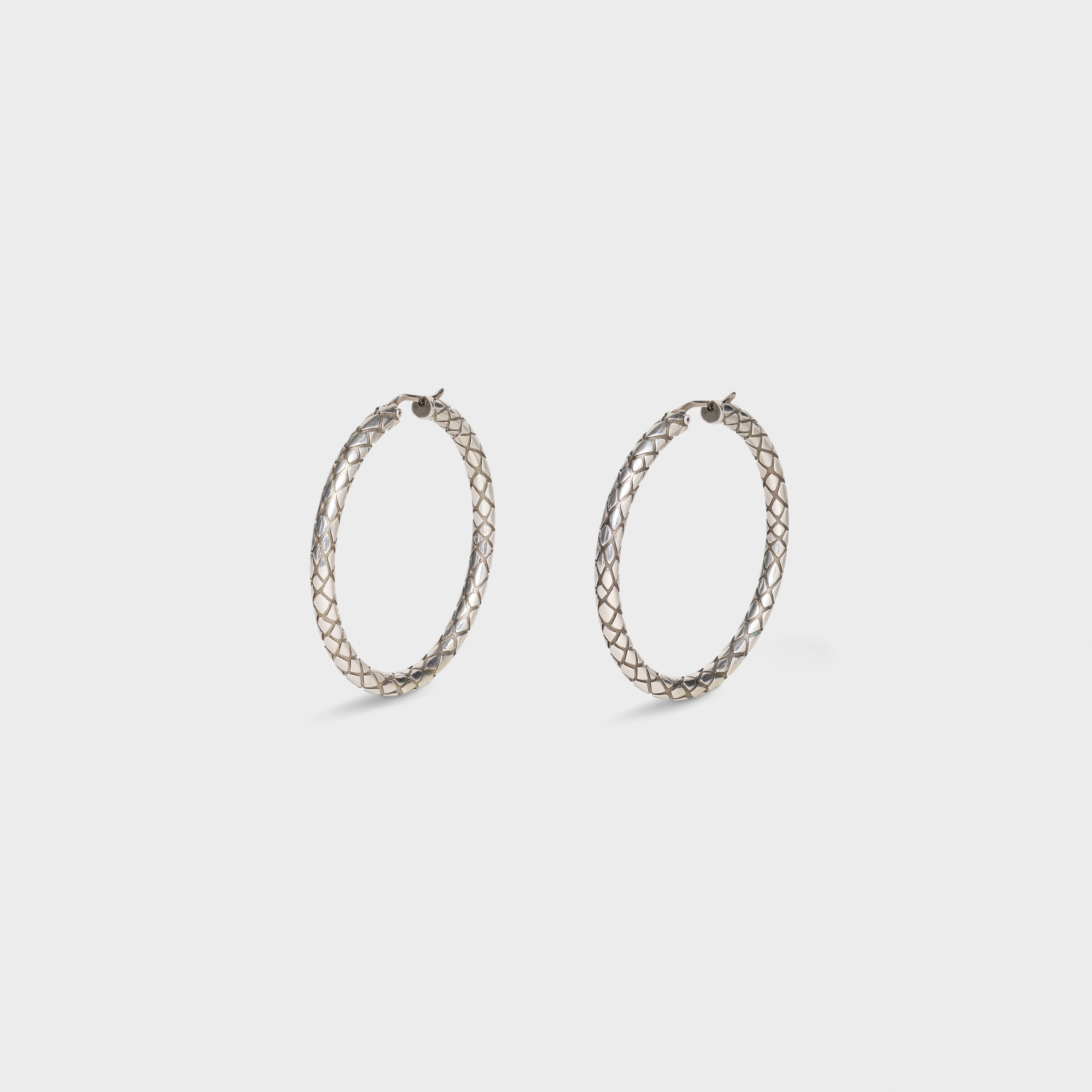 CELINE ANIMALS BOLD HOOPS IN BRASS WITH VINTAGE RHODIUM FINISH - 2