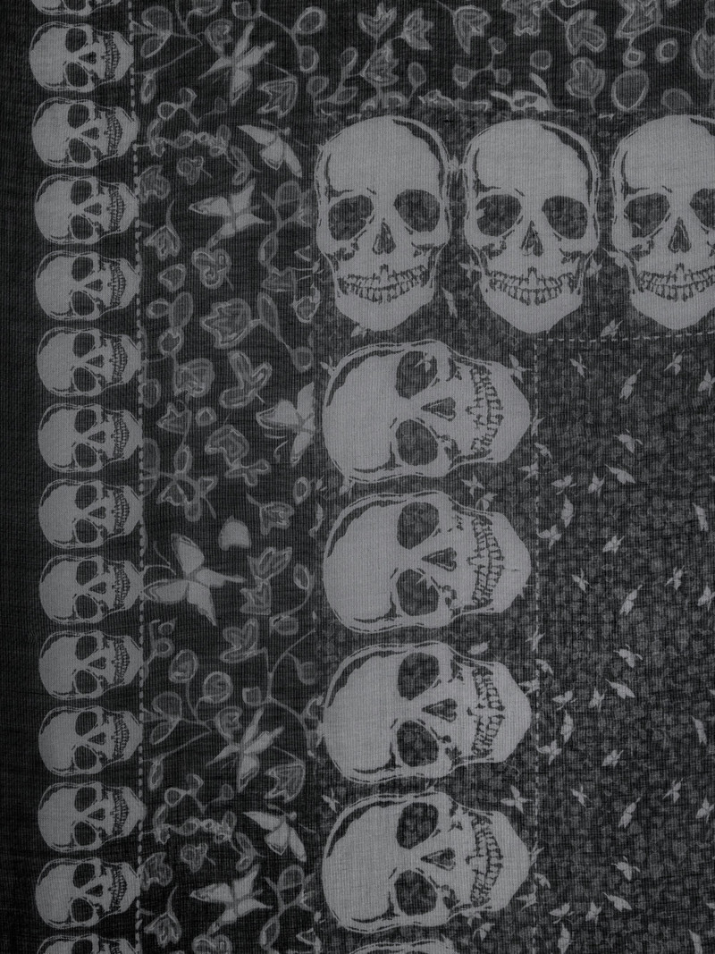 Zadig & Voltaire Kerry Garden 135 Scarf outlook