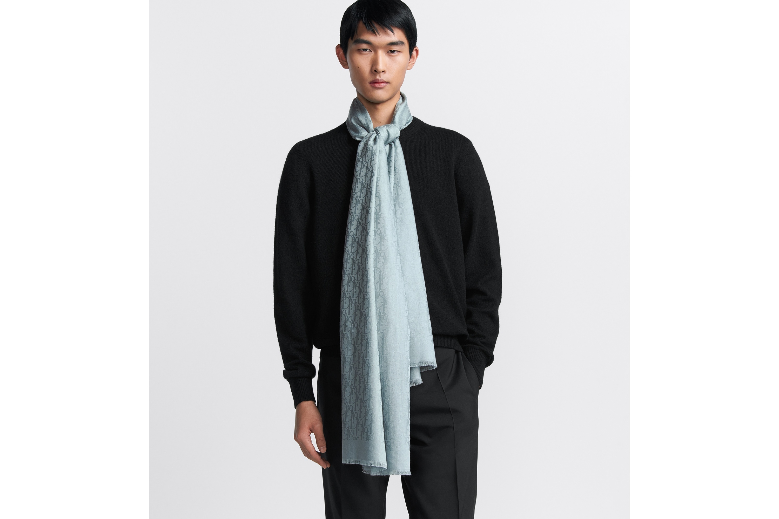 Dior Oblique Stole - 2