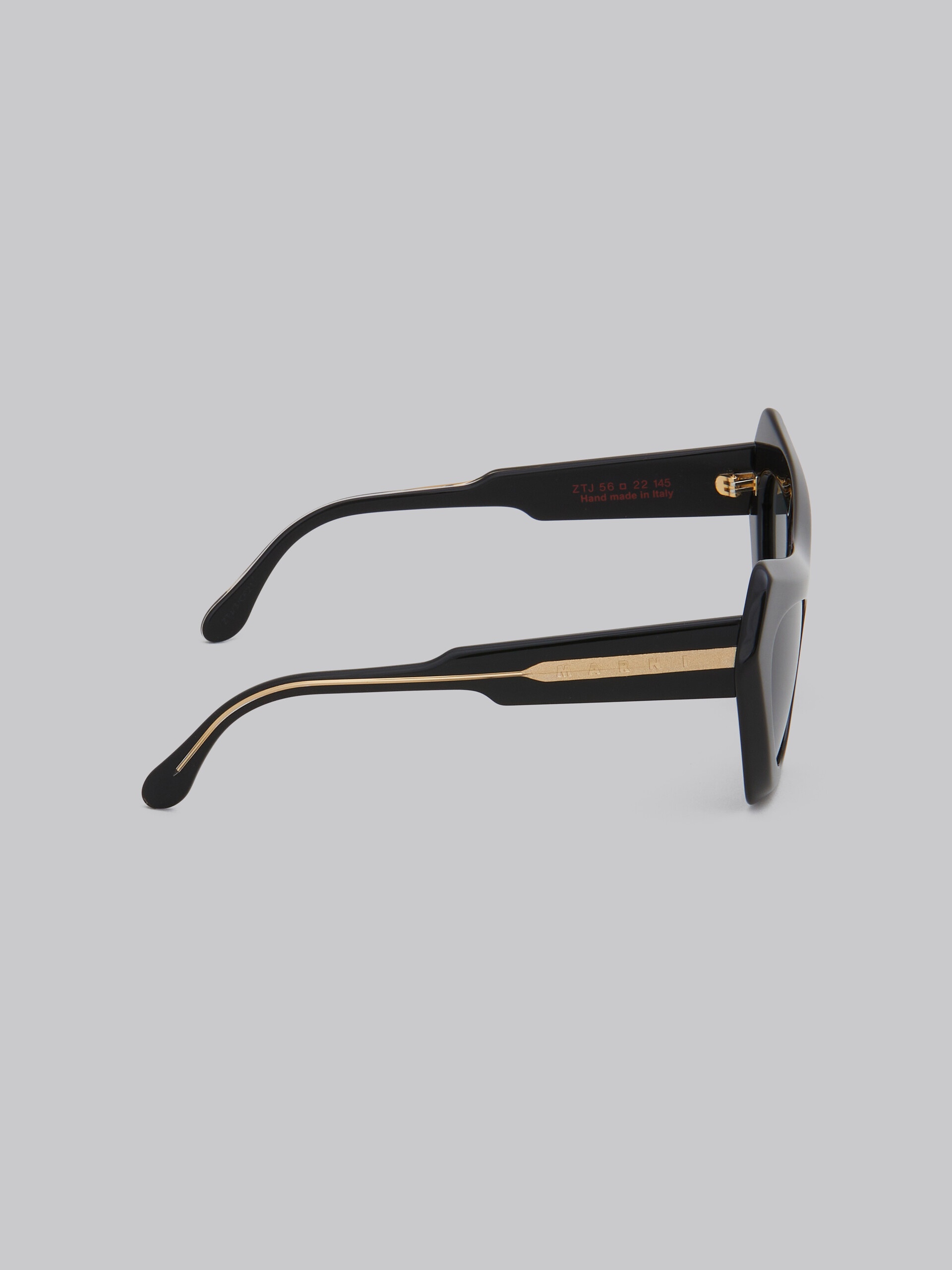 DEVIL'S POOL BLACK SUNGLASSES - 3