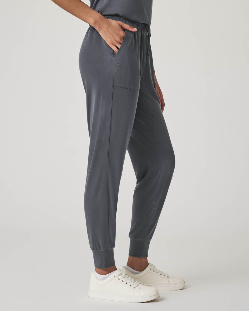 Splendid Giada Sandwash Jogger outlook