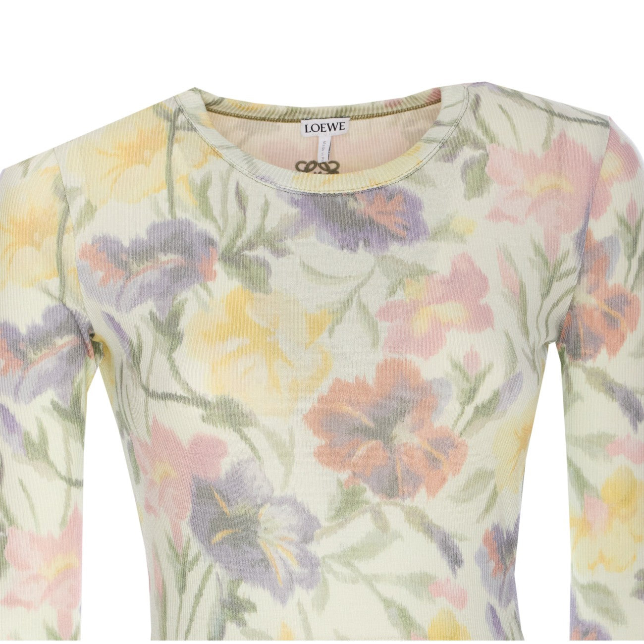 Loewe Women Morning Glory Print Cotton And Silk Multicolor Dress - 4