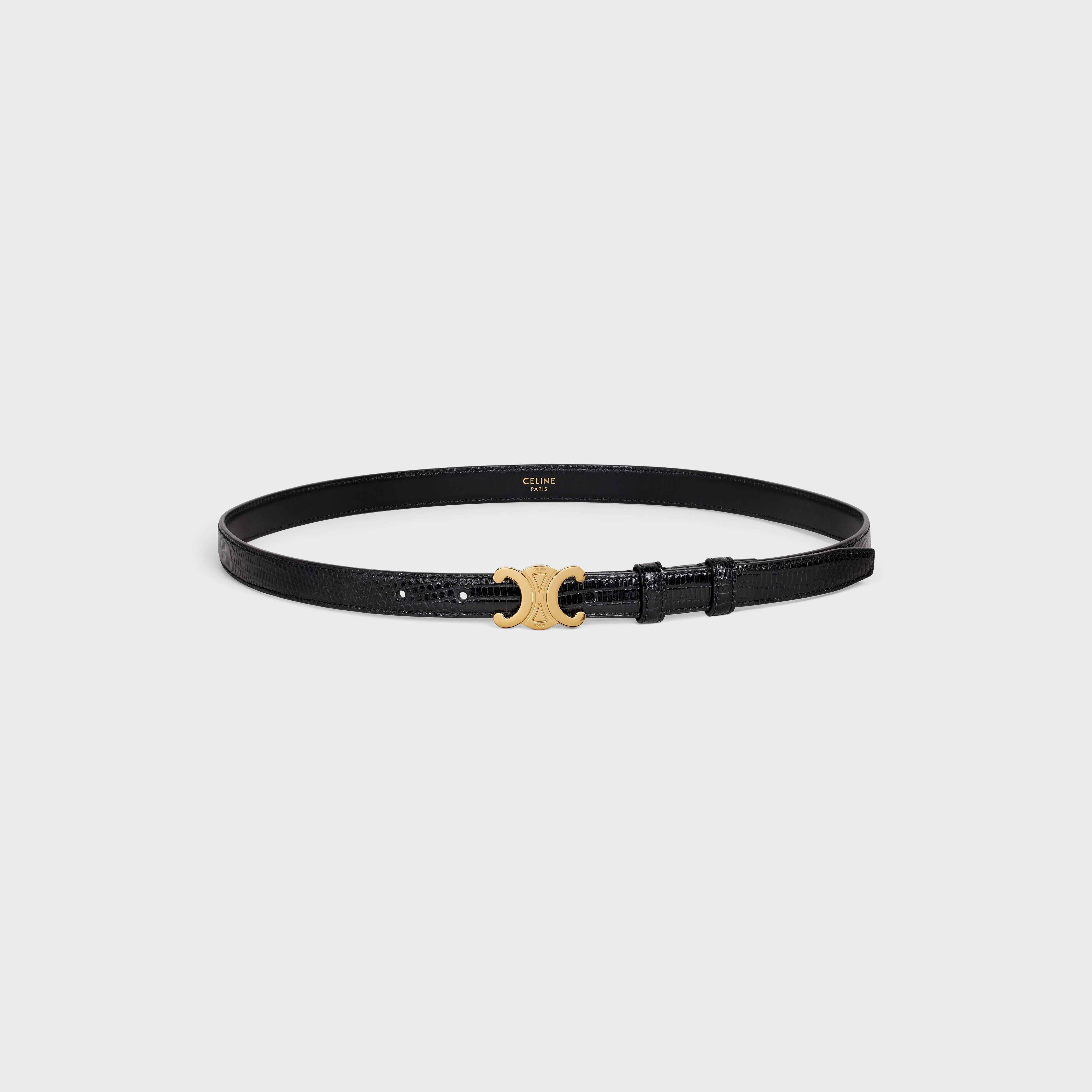 Small Triomphe Belt in LIZARD - 3