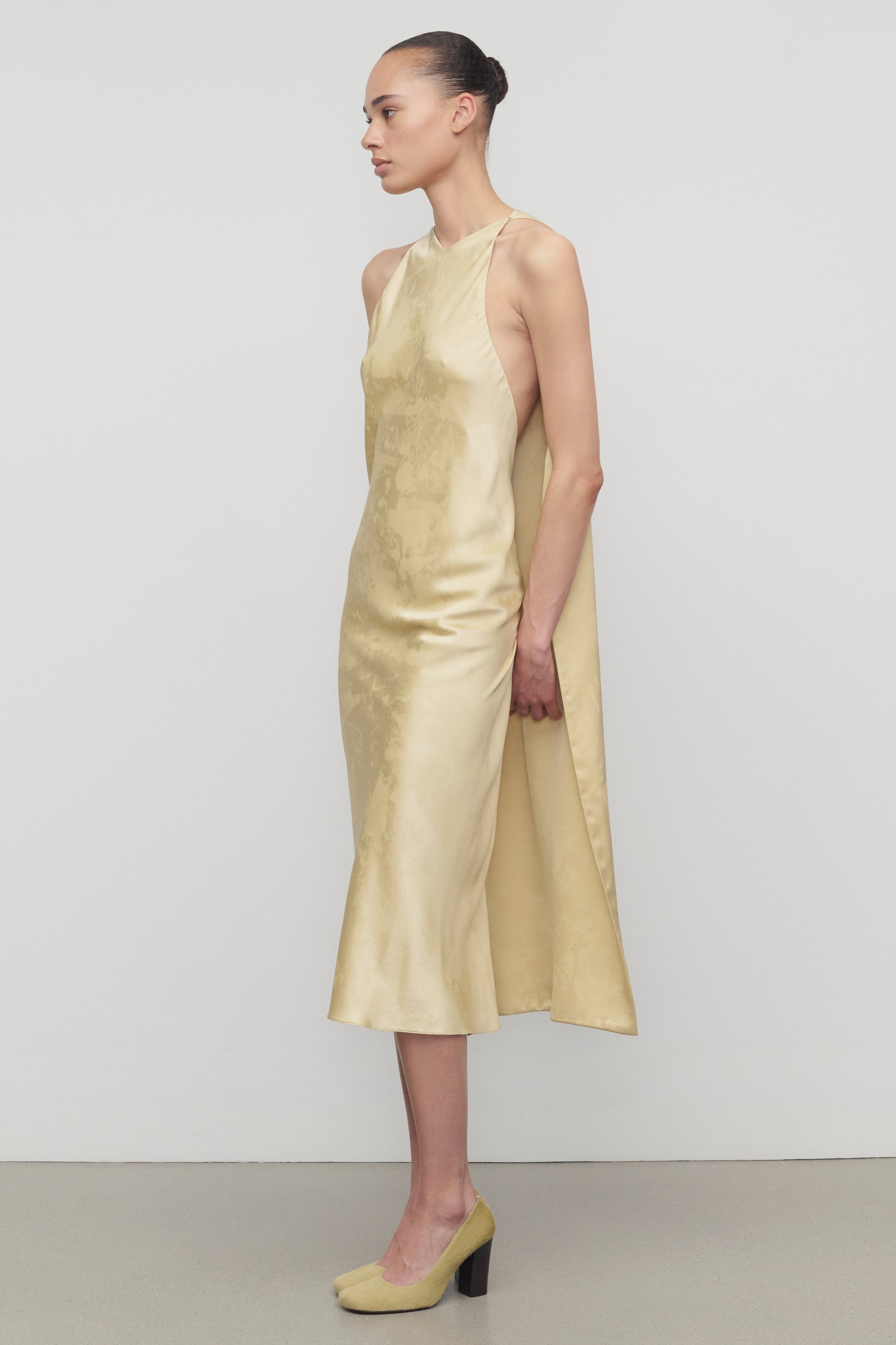 Baras Dress in Silk - 4