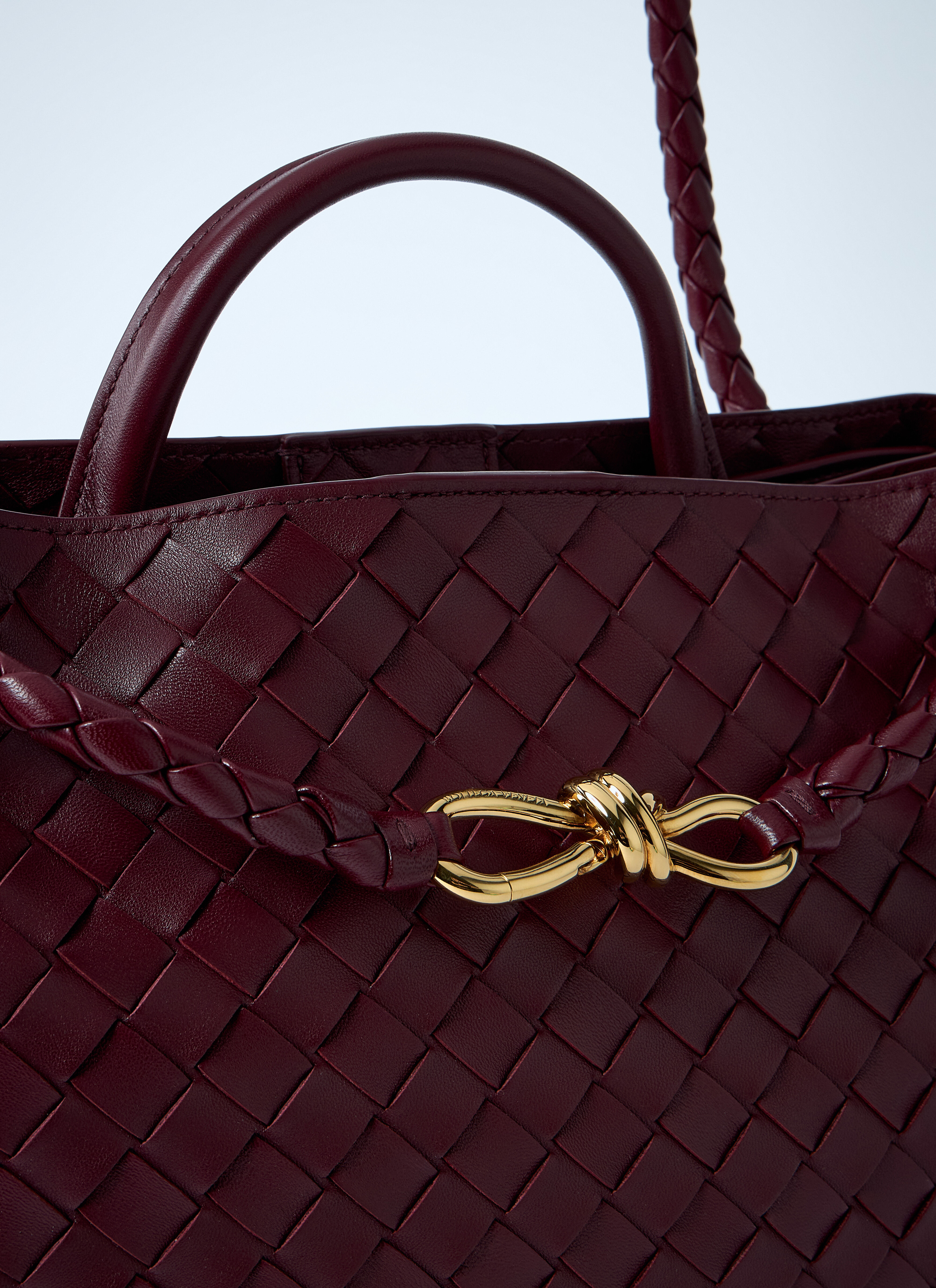 Medium Andiamo Handbag - 4