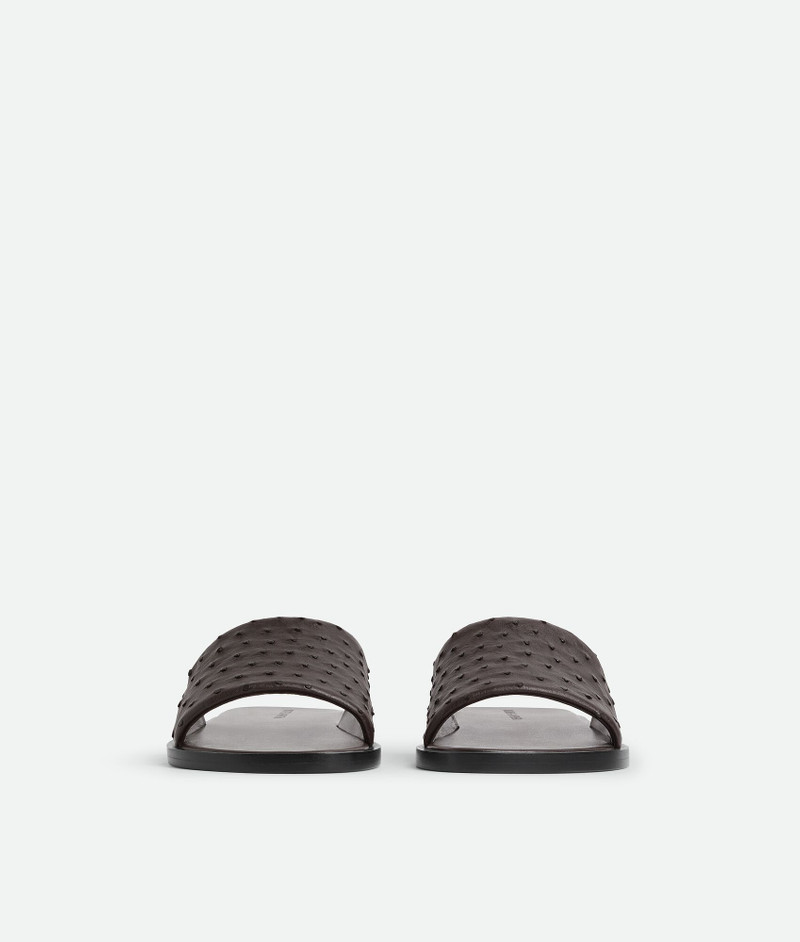 Bottega Veneta Elio Mule outlook