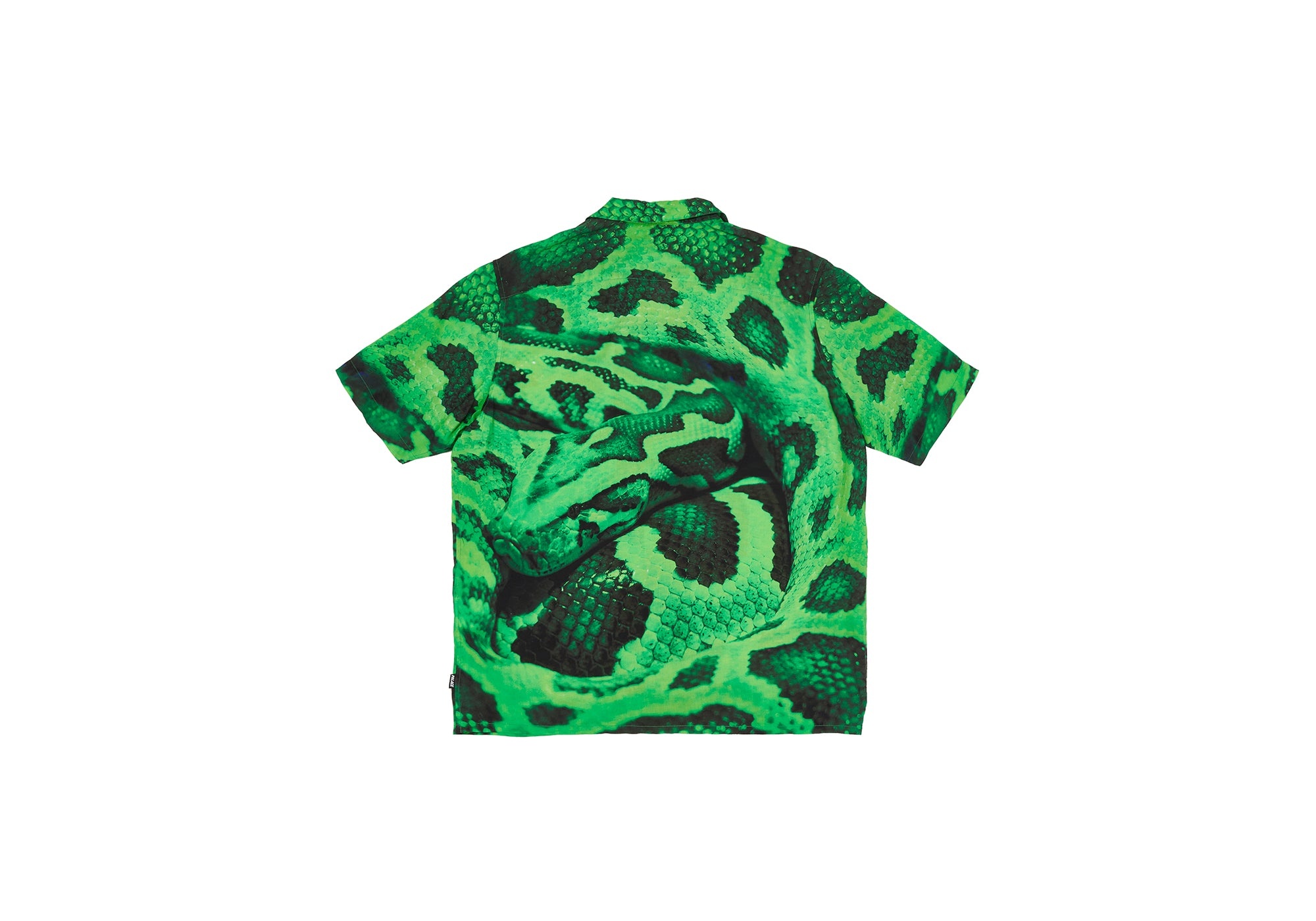 SNAKE SHIRT GREEN - 2