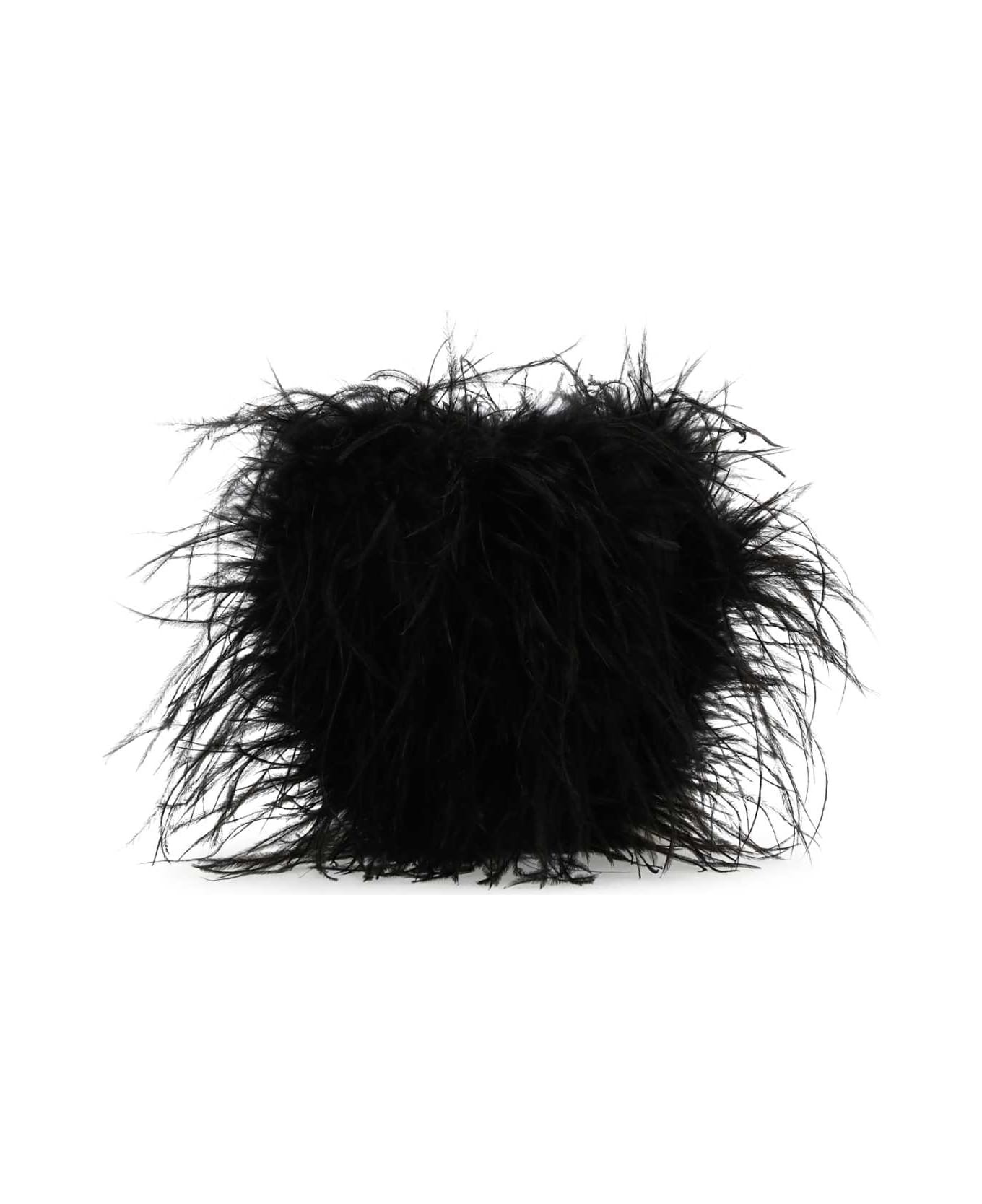 Black Feathers Clutch - 2