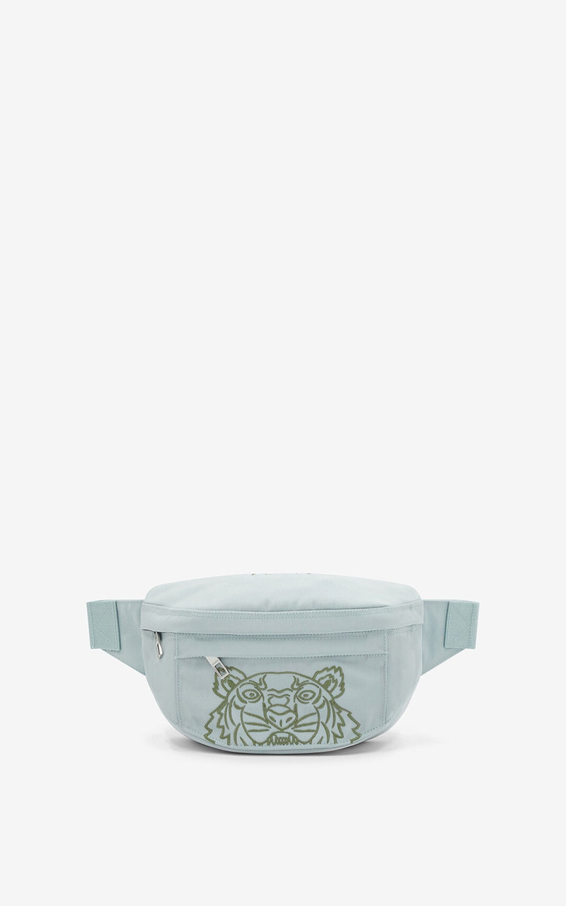 Tiger Bumbag 1