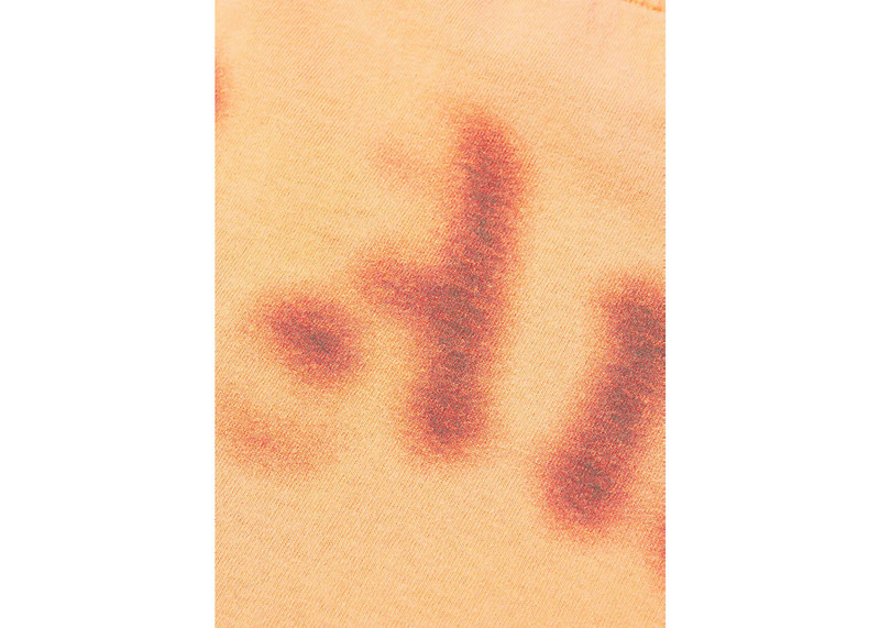 Palm Angels Palm Angels Blurred Logo Oversized T-Shirt Orange Fluo Black outlook