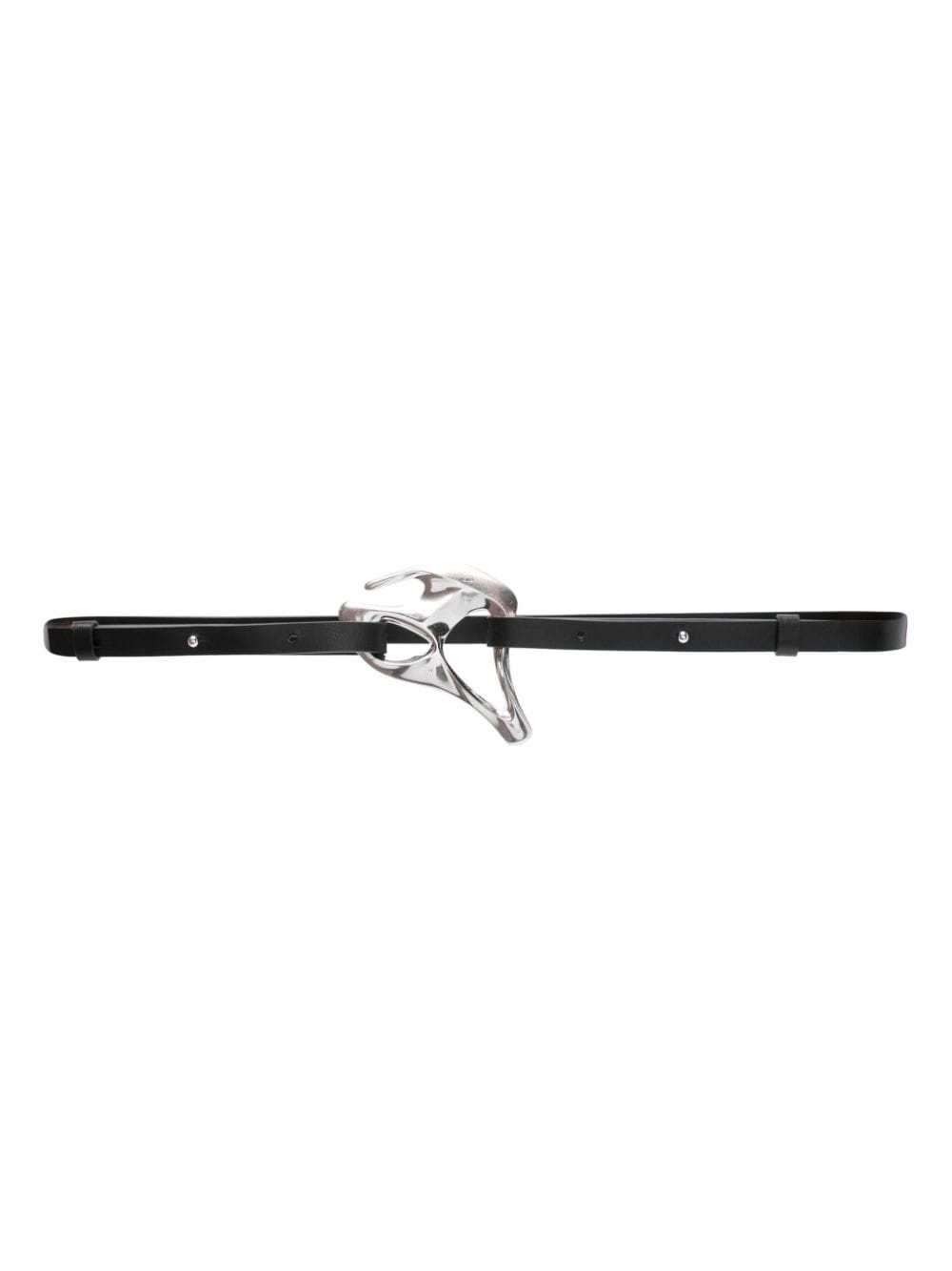 Endemyc belt - 1