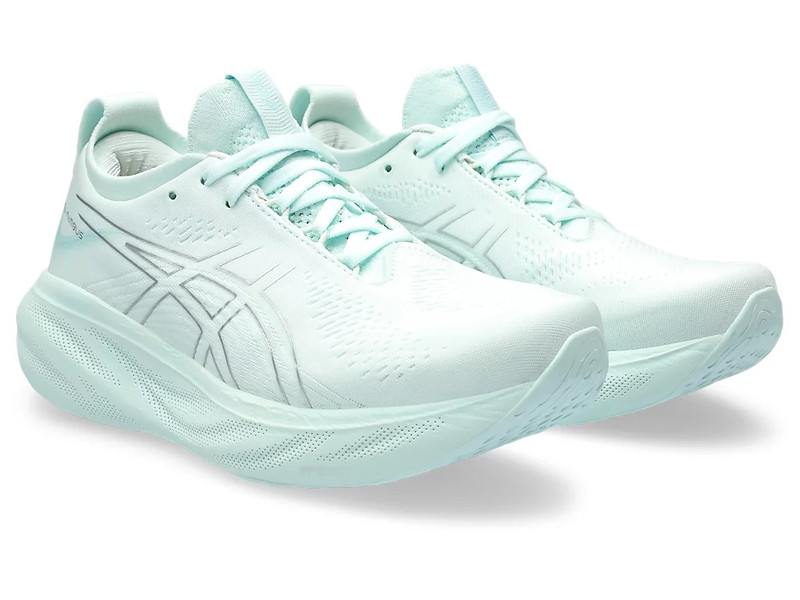 Asics GEL-NIMBUS 25 outlook