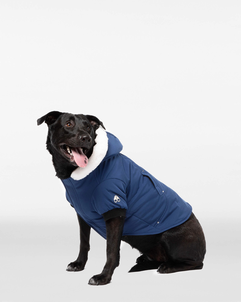 MOOSE KNUCKLES POOCH PARKA outlook