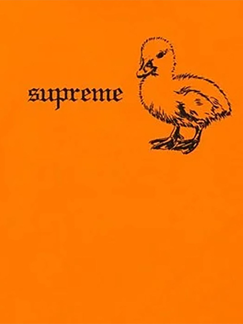 Supreme Duck T-shirt outlook