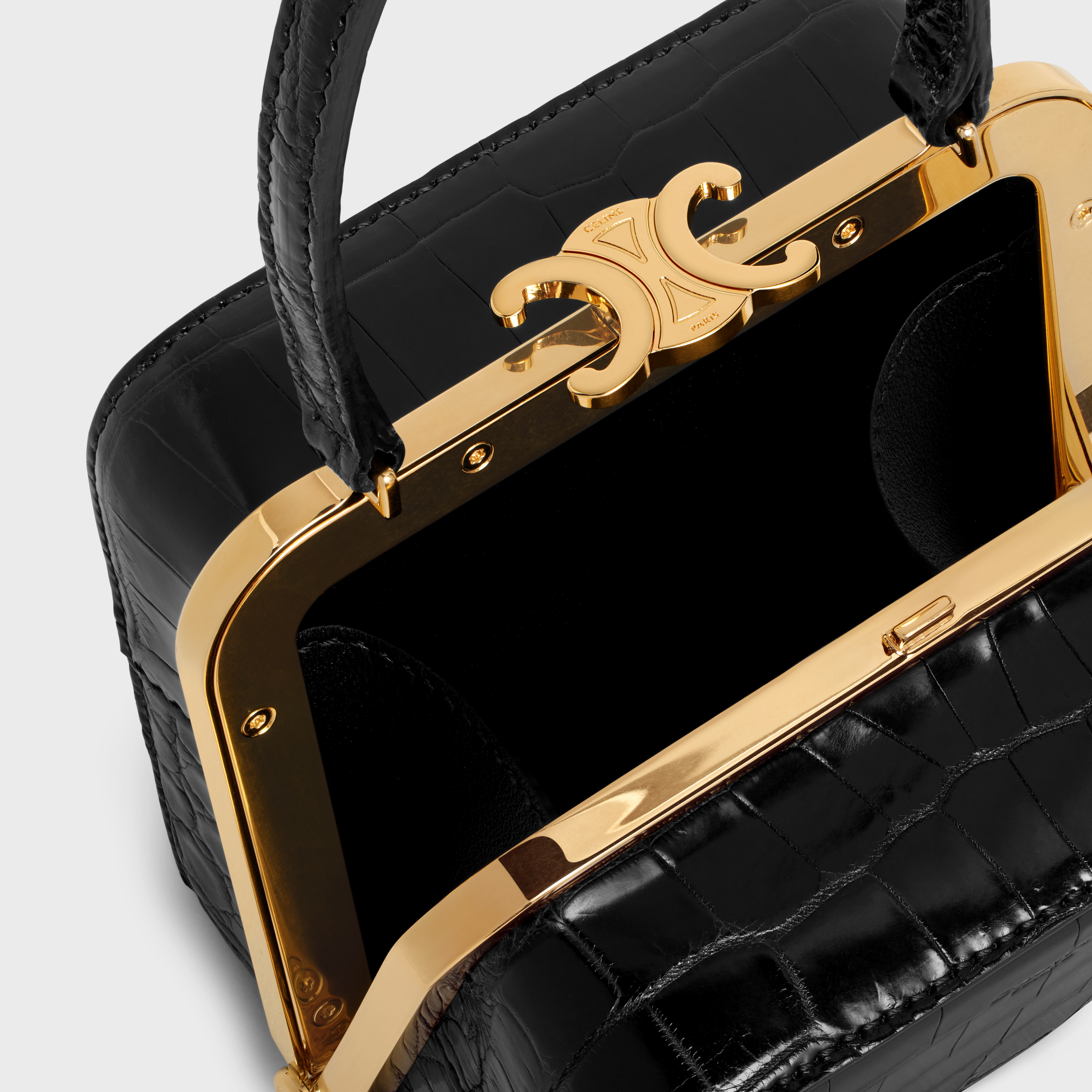 CELINE LANA MINAUDIERE in Niloticus Crocodile - 4