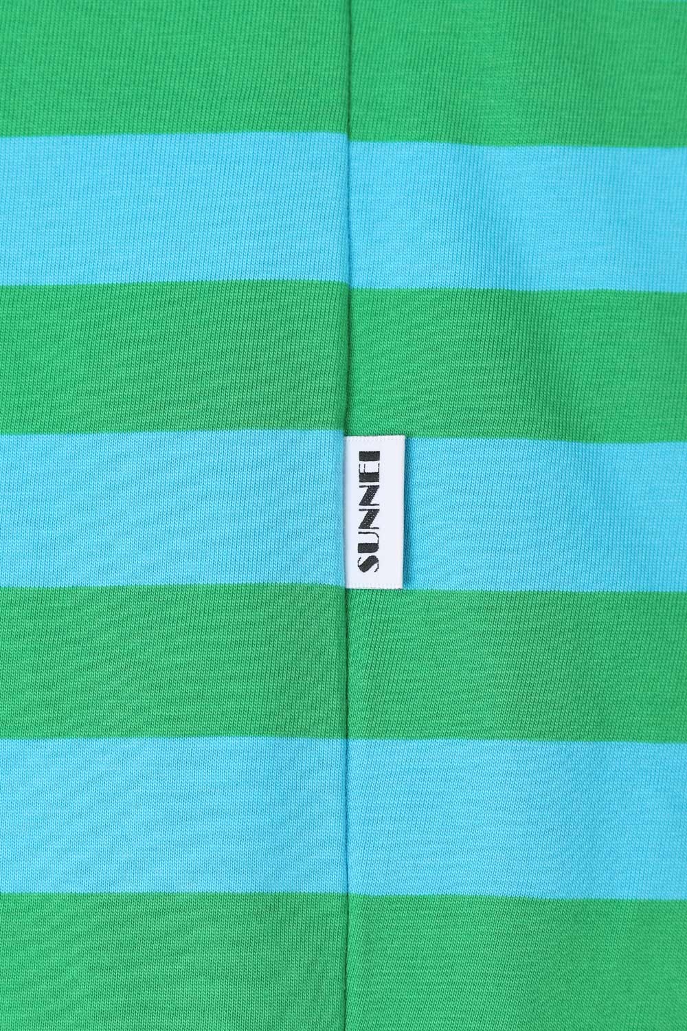 CLASSIC LONG SLEEVE T-SHIRT / azure & green stripes - 6