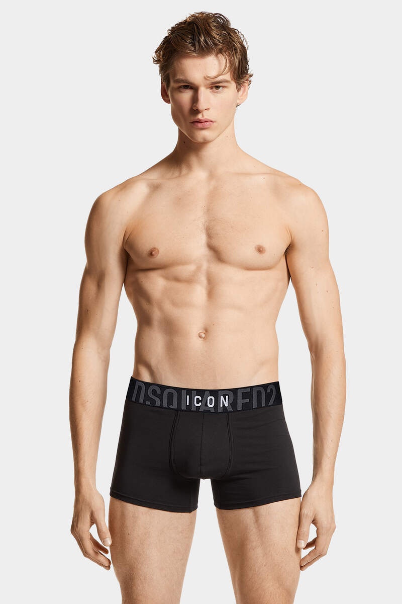 ICON TRUNK - 3
