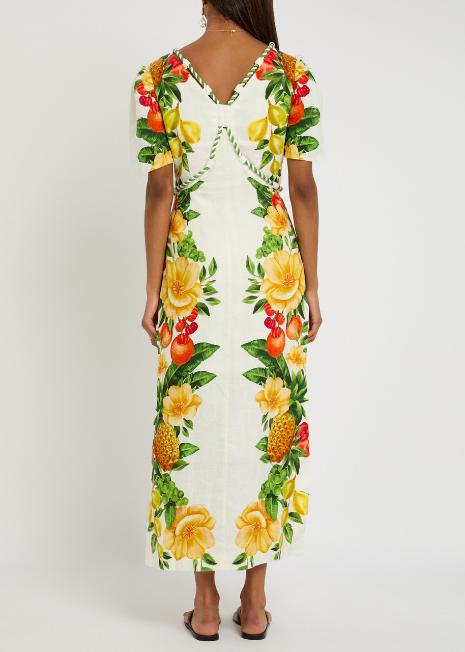 Farm Rio Picnic Flower Printed Linen Maxi Dress - 3