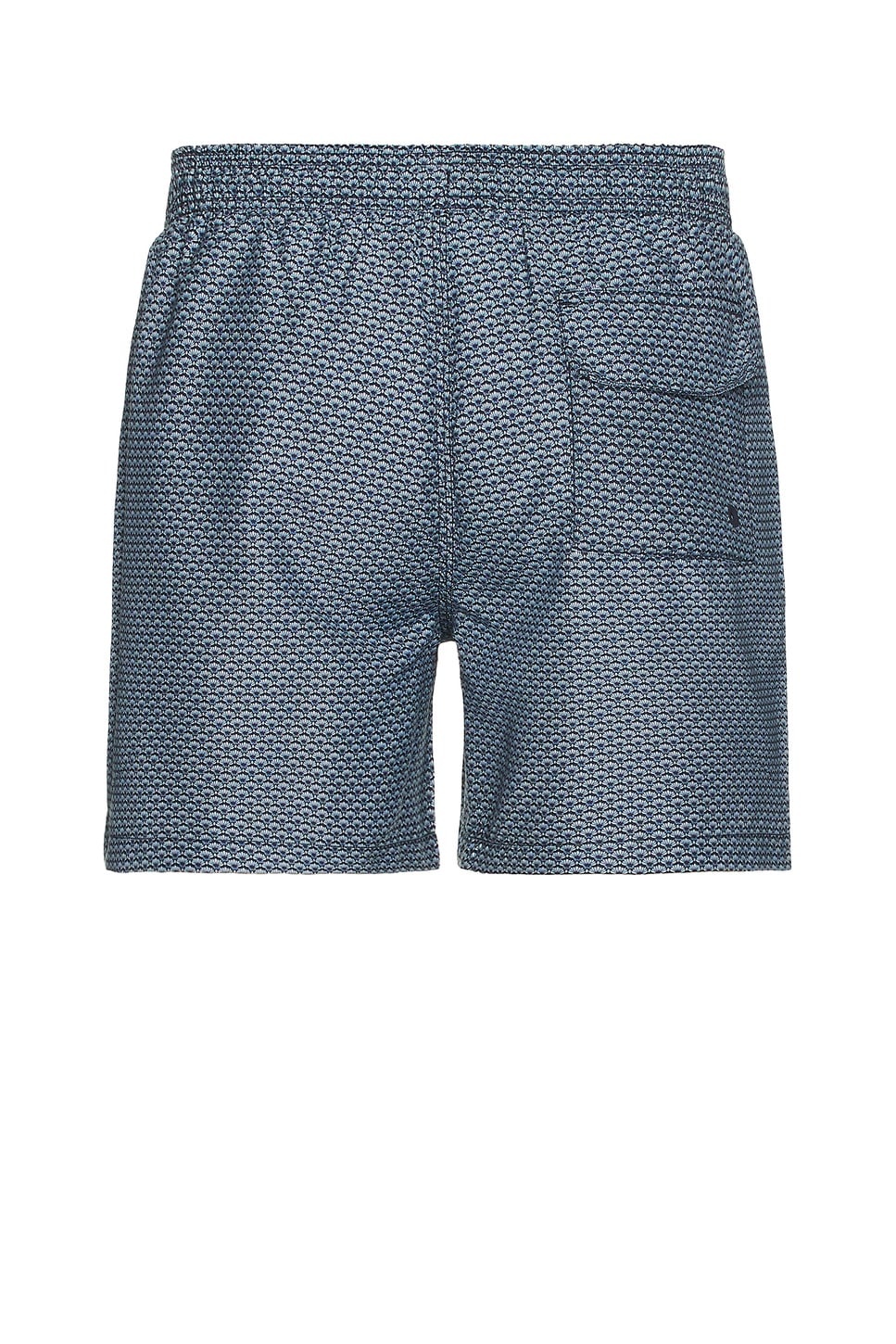 Shell Swim Short - 2