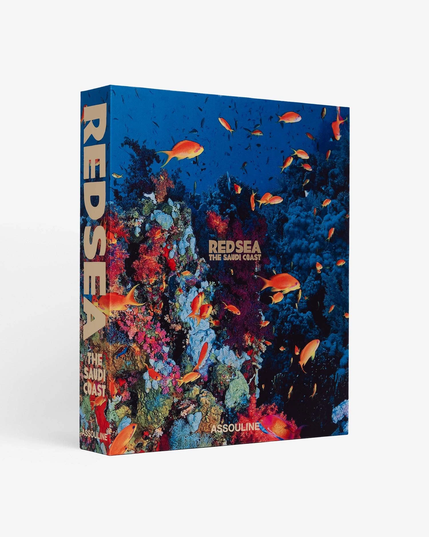 Saudi Arabia: Red Sea, the Saudi Coast (Ultimate) - 1