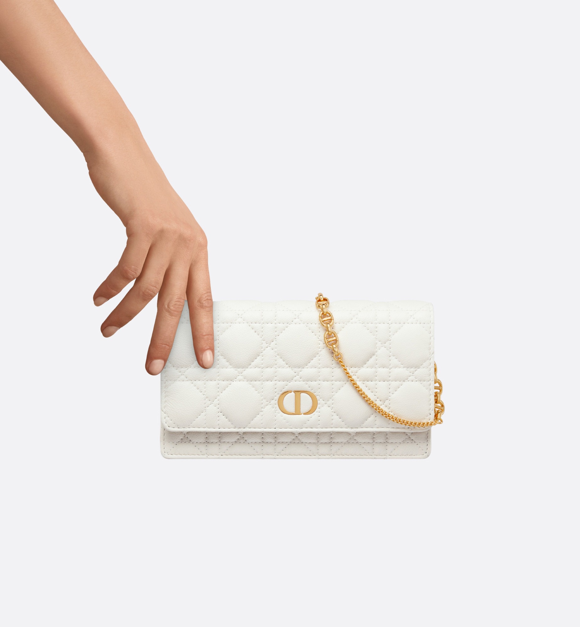 Dior Caro Pouch - 7