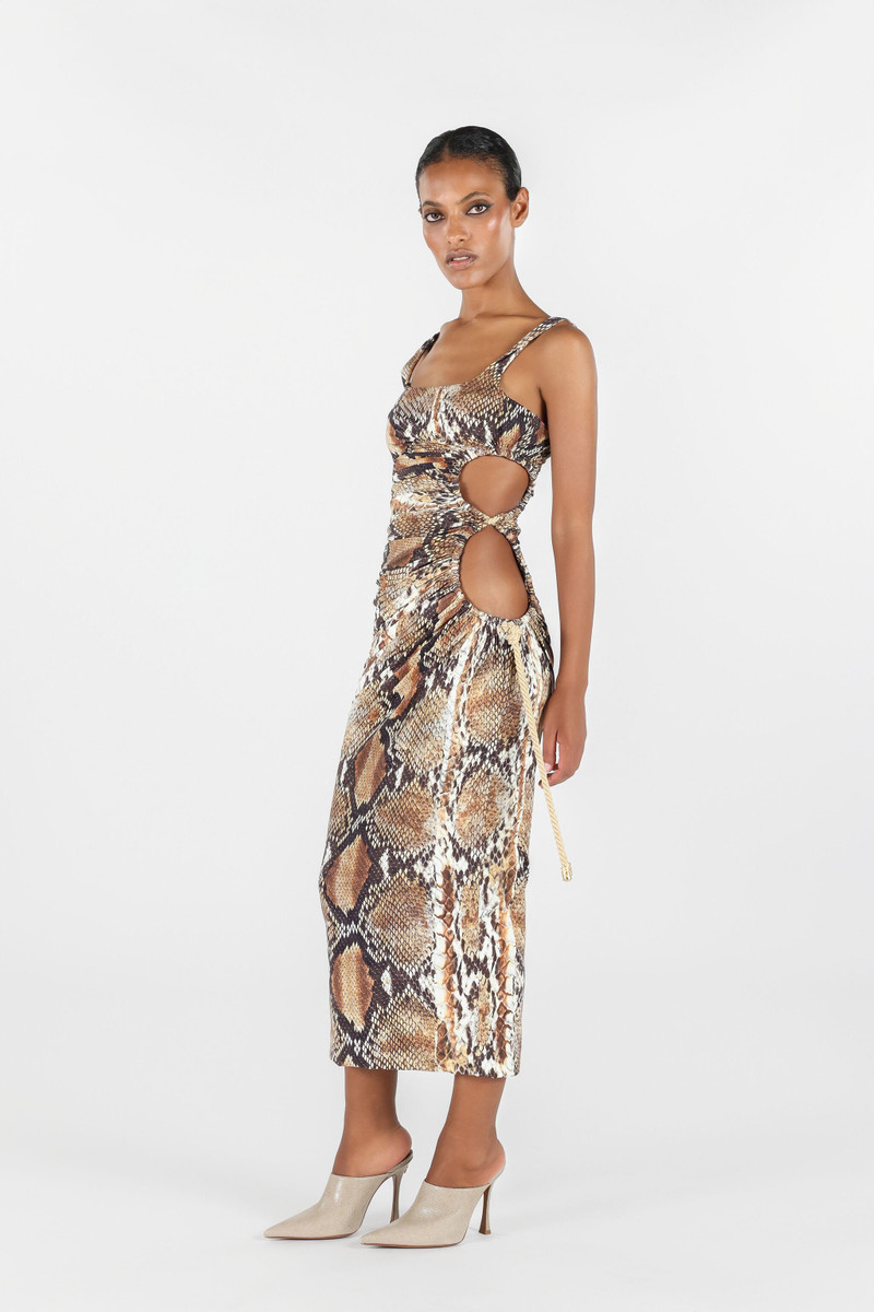 Roberto Cavalli Python print midi dress outlook