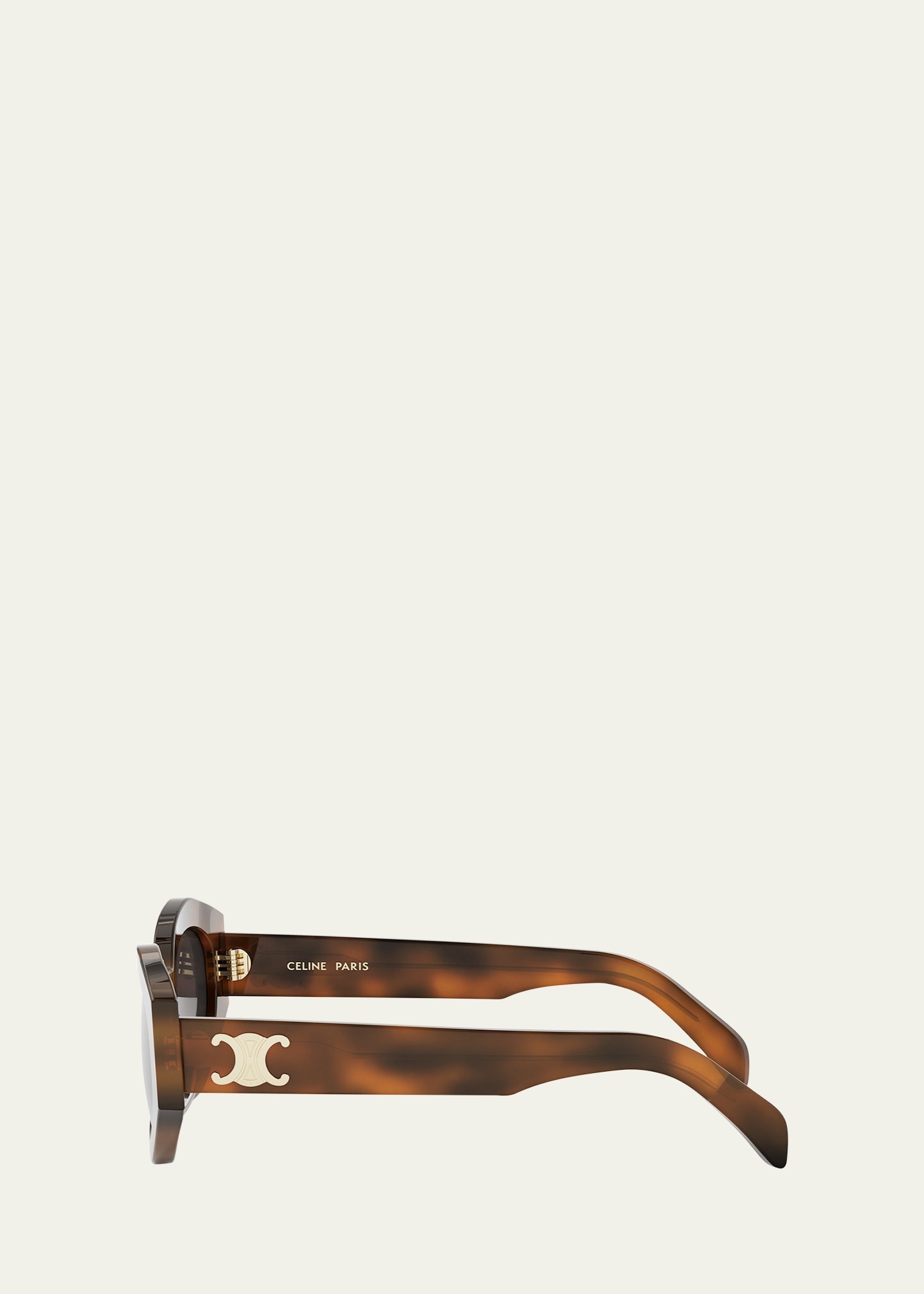 Triomphe Acetate Oval Sunglasses - 3