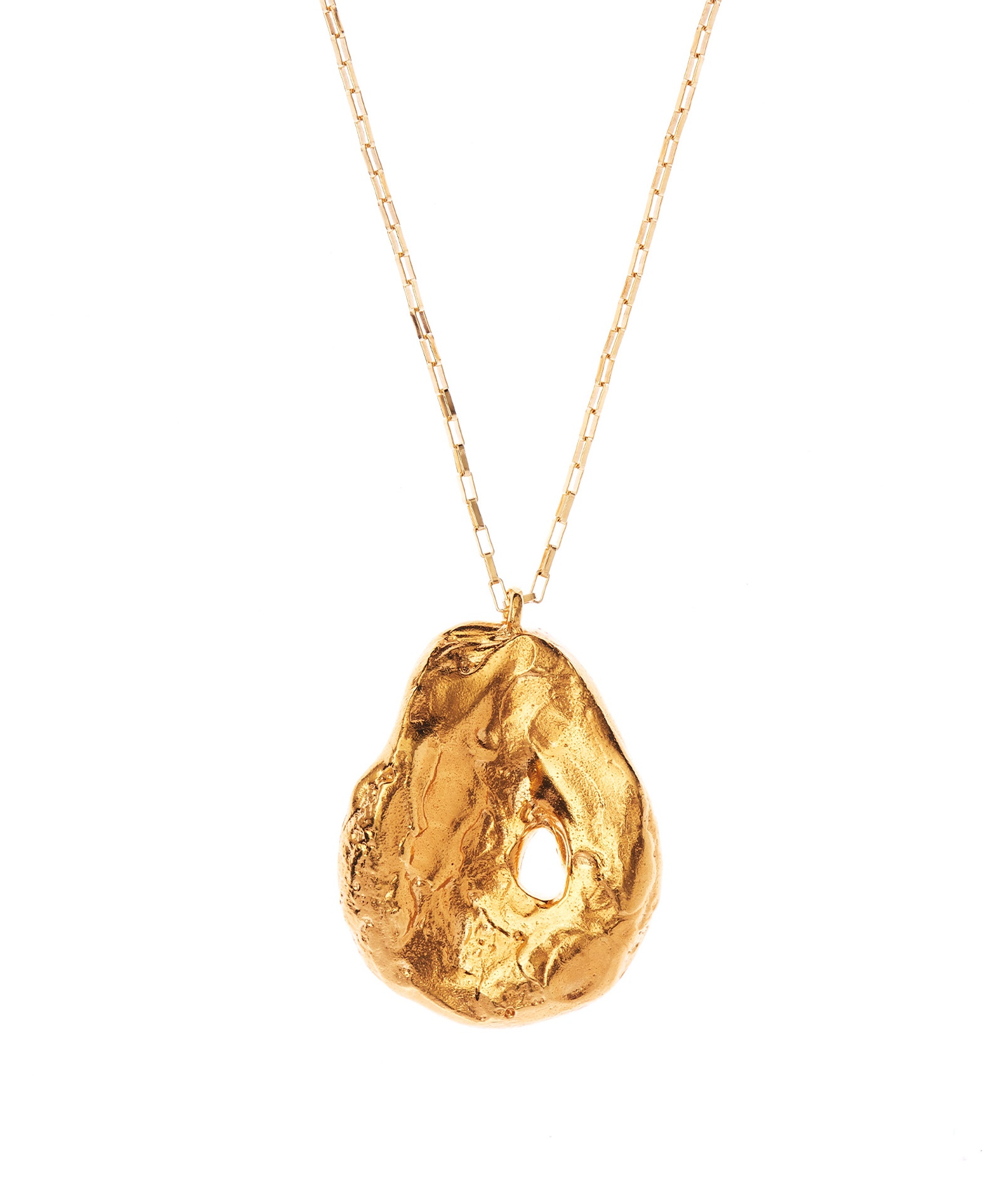 ALIGHIERI - The Forbidden Community Necklace - 2