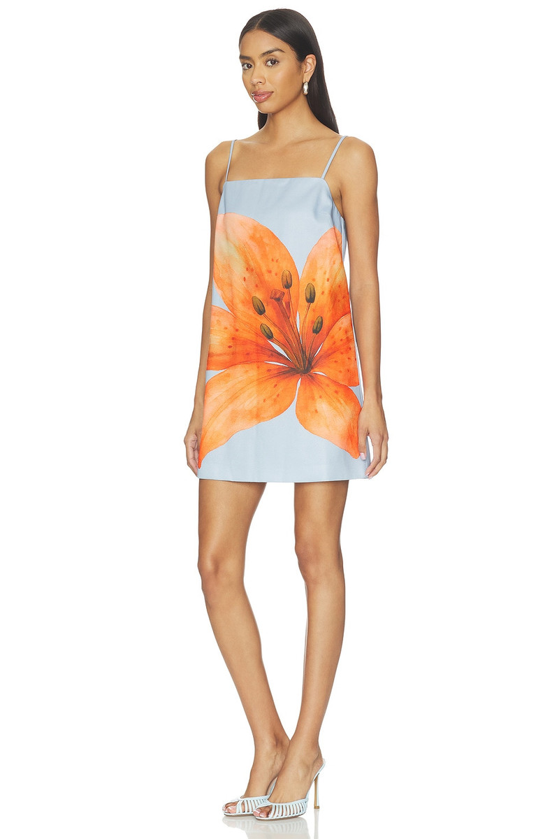 Line & Dot Avah Mini Dress outlook