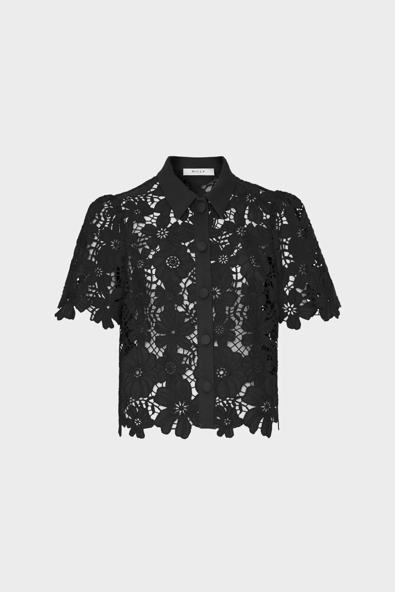 Addison Roja Lace Top - 1